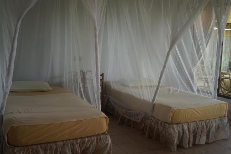 Tent photo 1