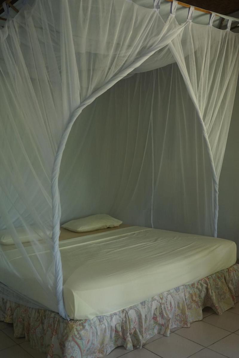 Tent photo 2