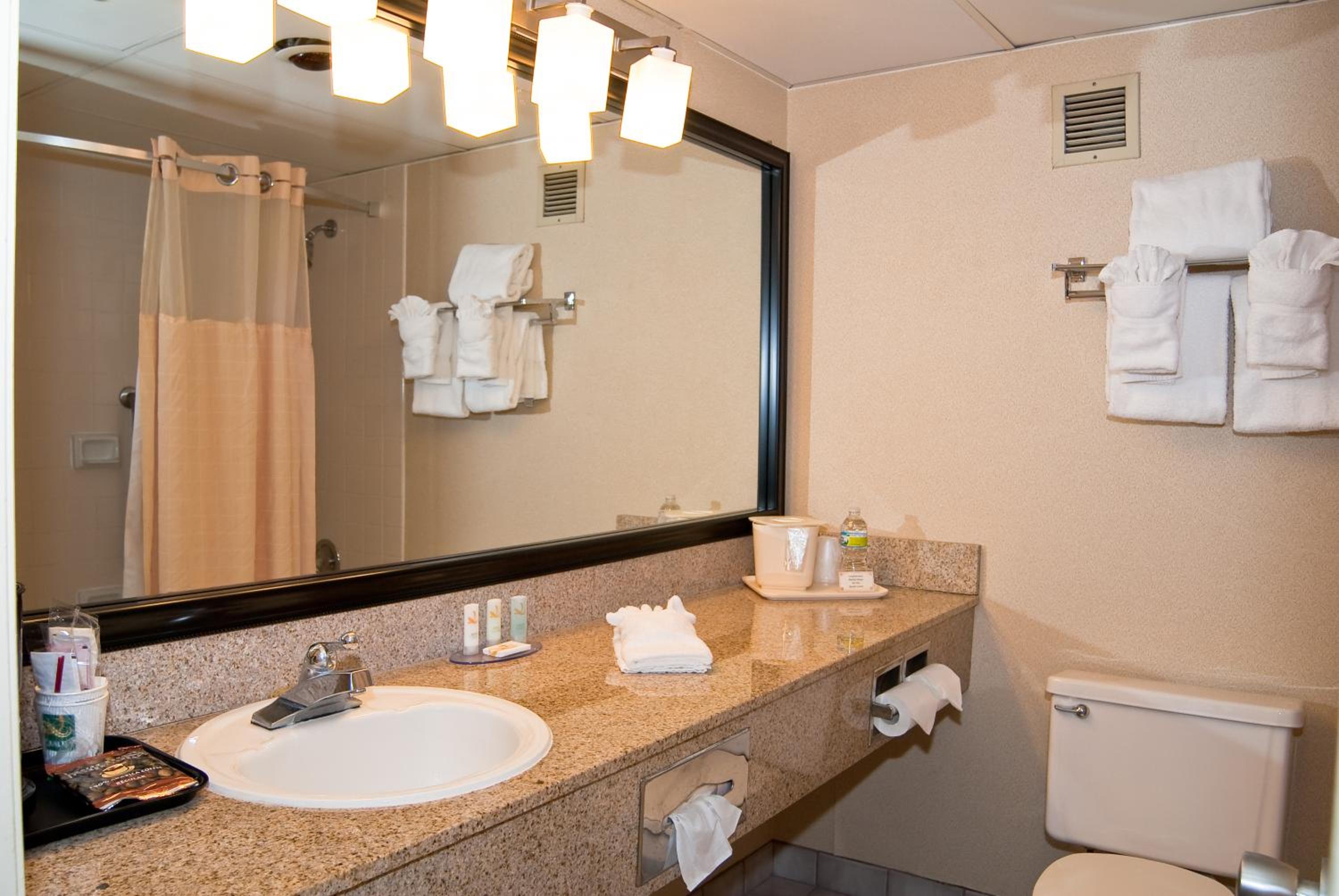 King Room - Photo 4