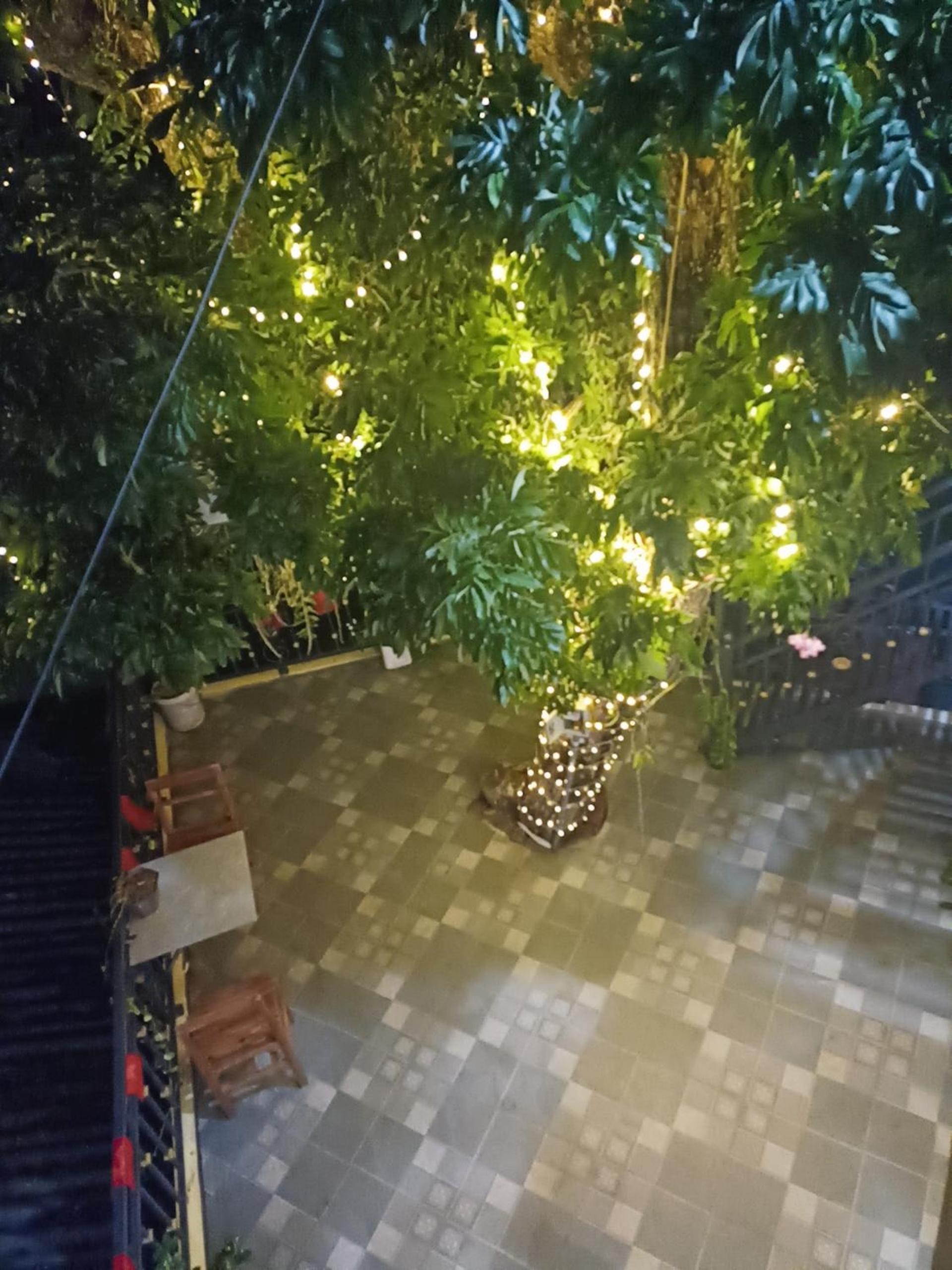 Family Room with Garden View - Photo 4