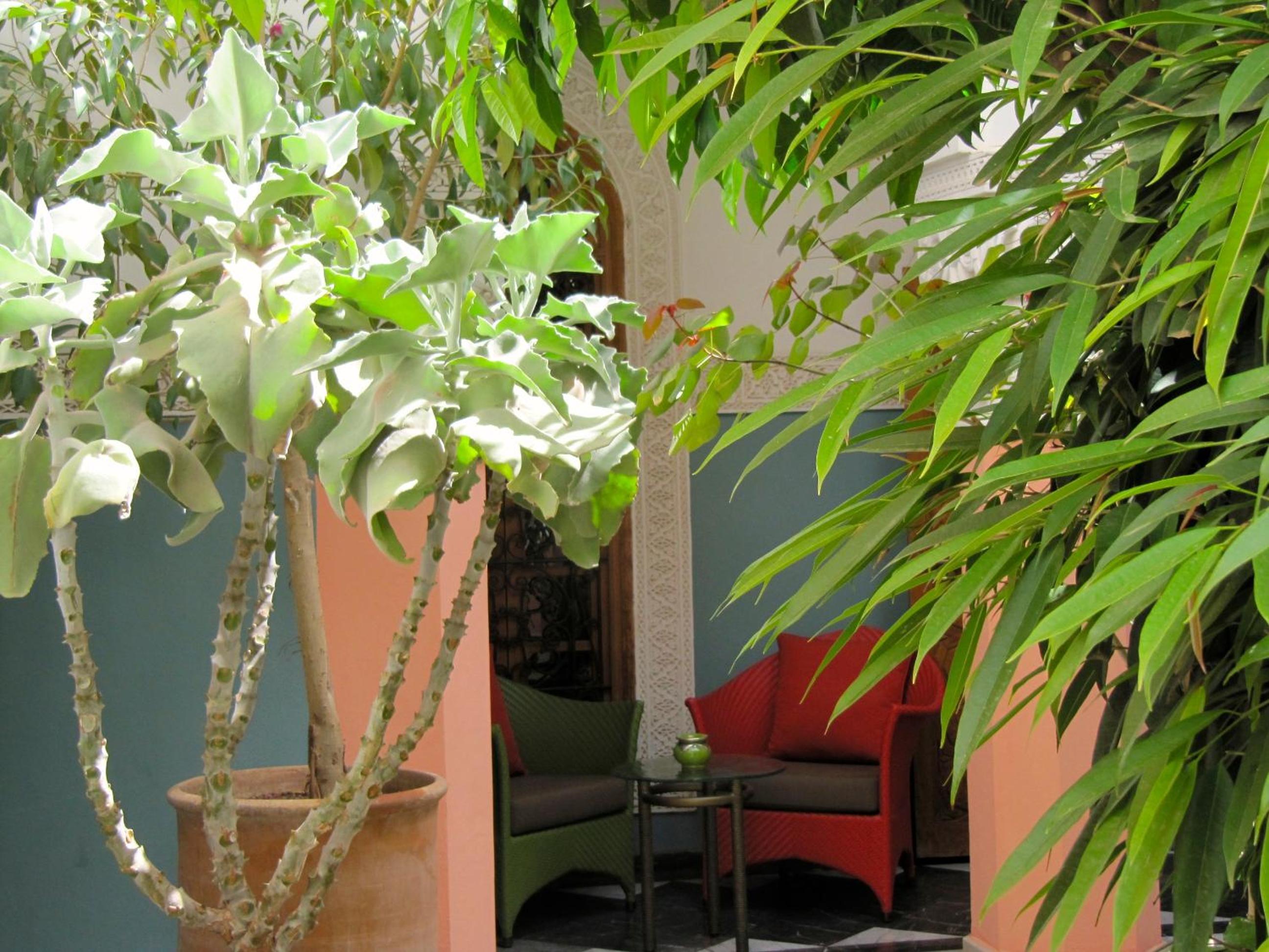 Suite with Terrace - Photo 9