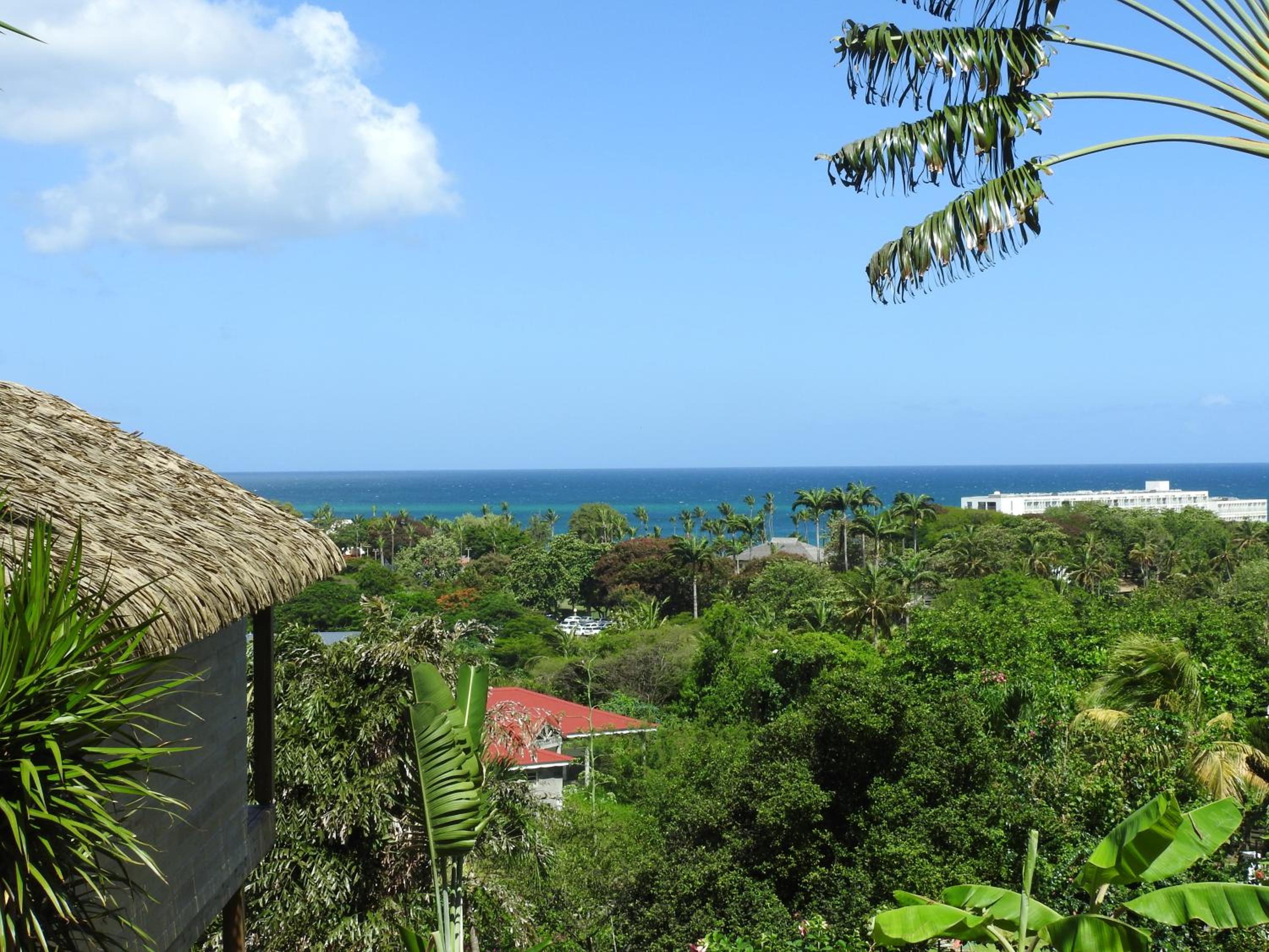 Bungalow with Balcony and Sea View (sans cuisine) photo 3