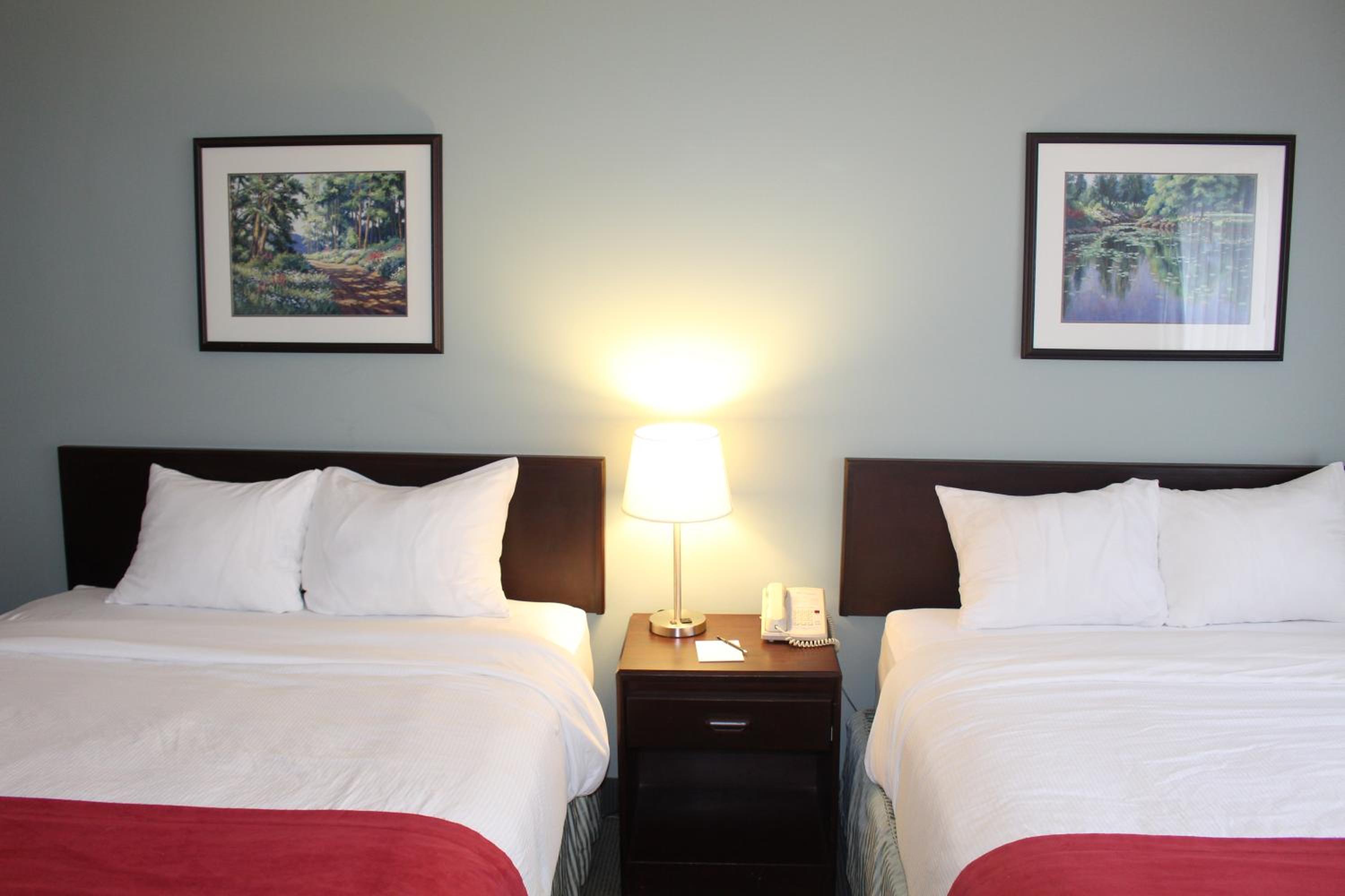 Standard Double or Twin Room