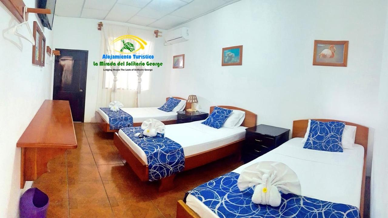 Bed In 4-Bed Dormitory Room photo 3