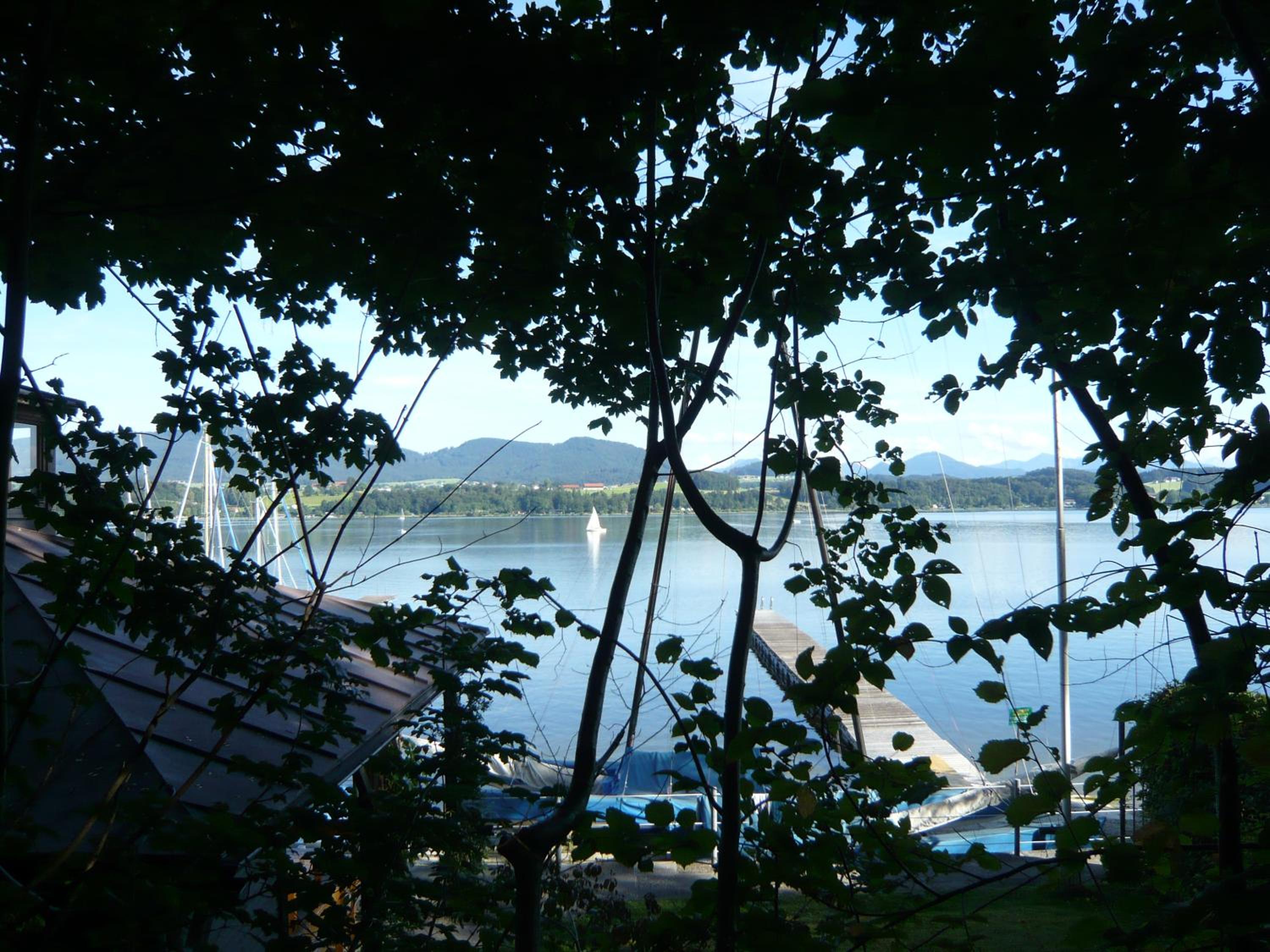 Duplex Apartment photo 2