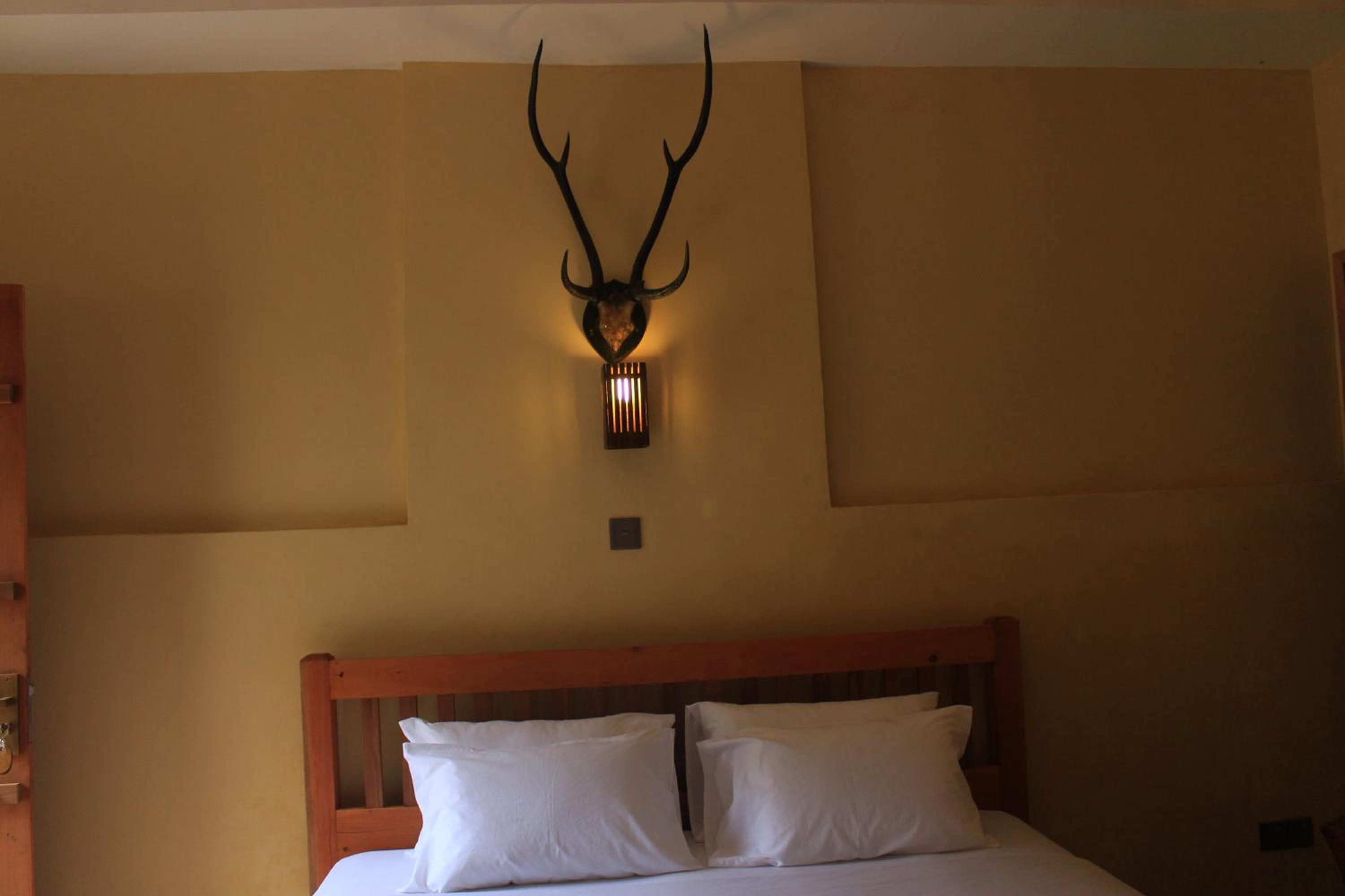 Deluxe Double Room photo 1