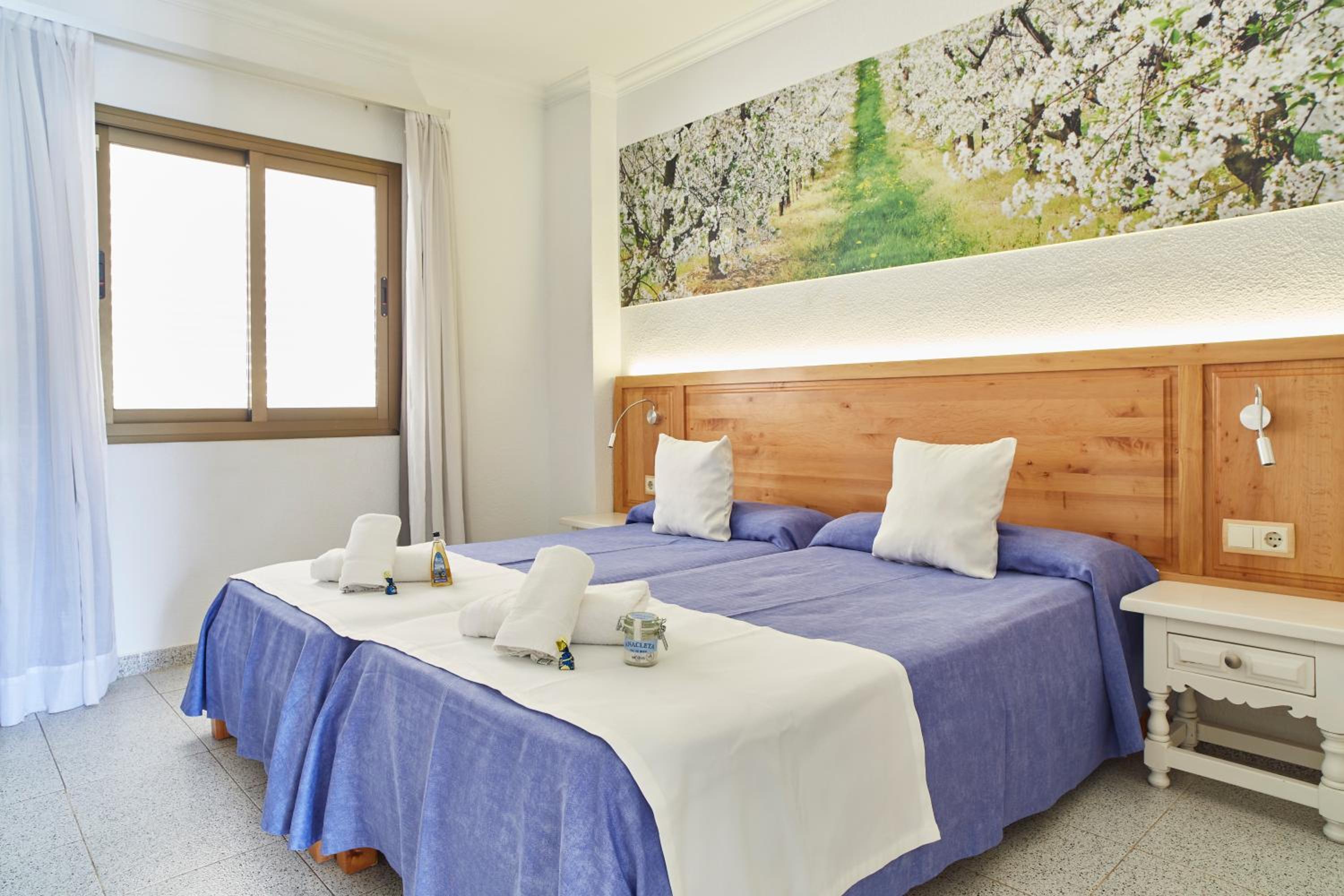 Premium One-Bedroom Apartment with Pool View photo 3