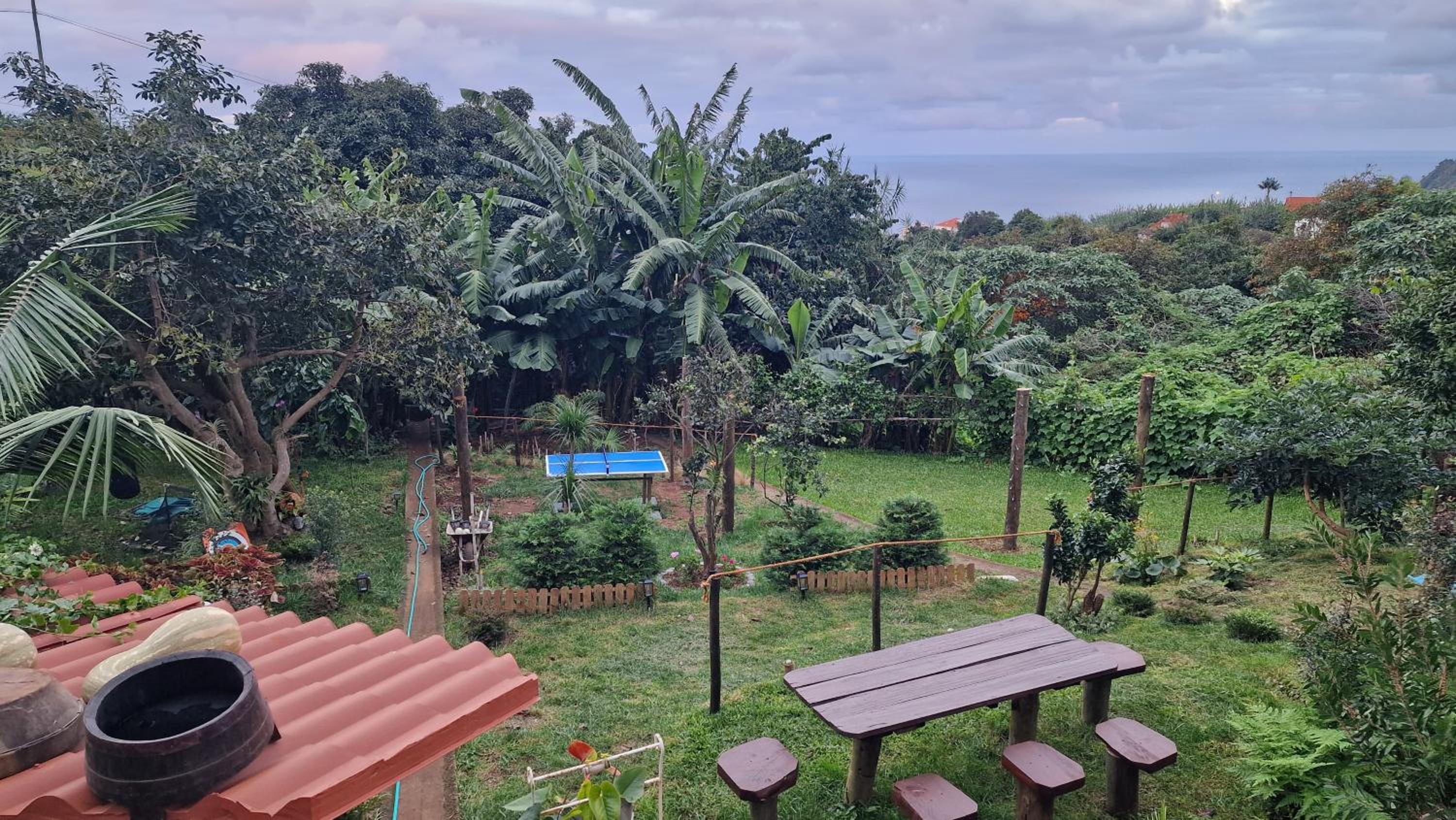 Apartment with View and Balcony photo 2