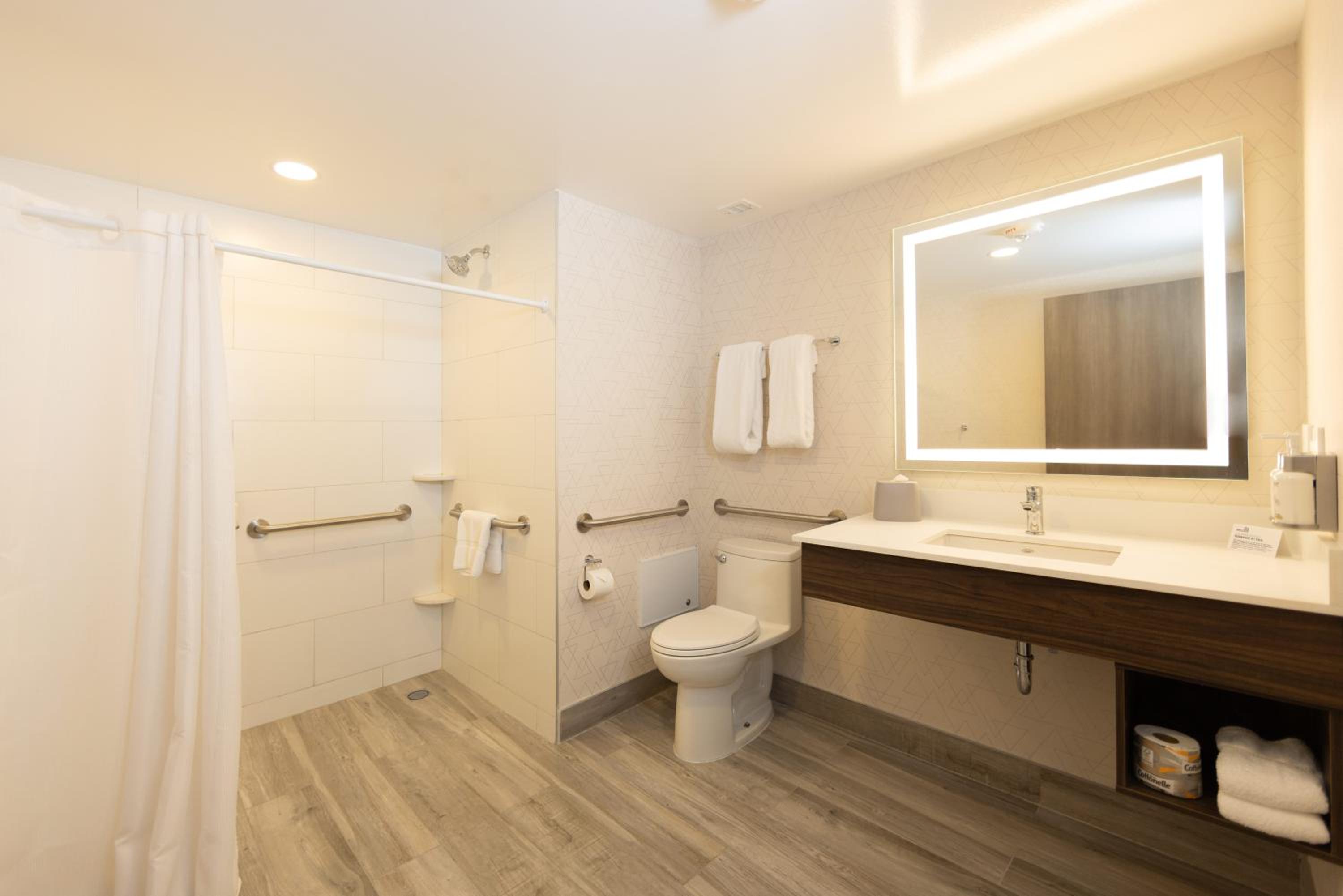 Accessible King Suite with Lagoon View - Photo 3