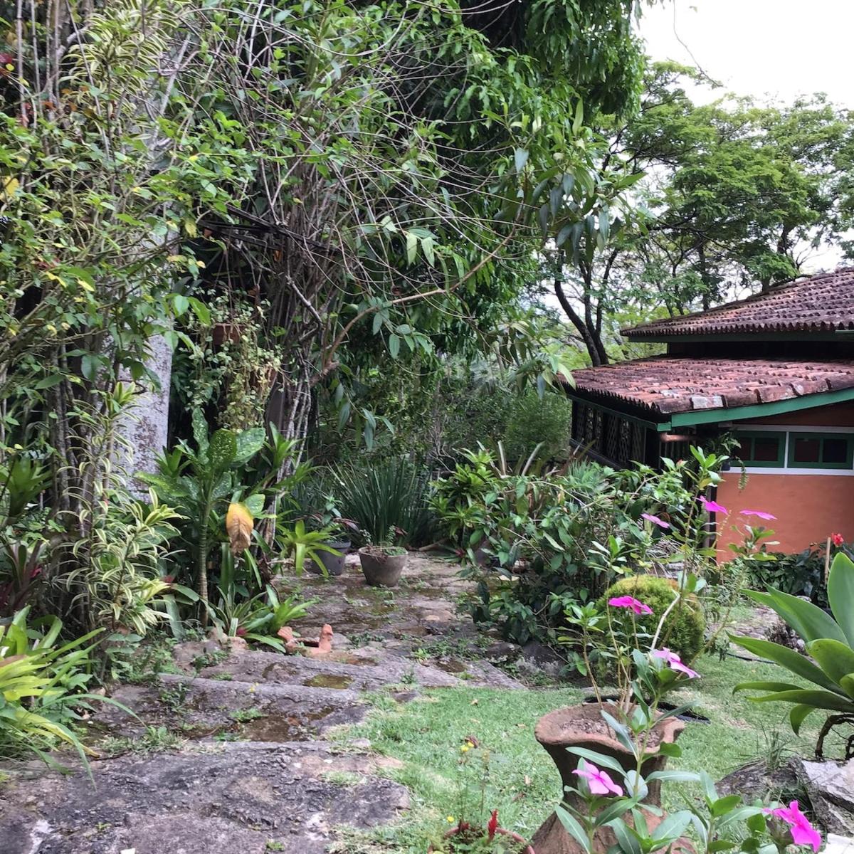 Family Room with Garden View photo 3