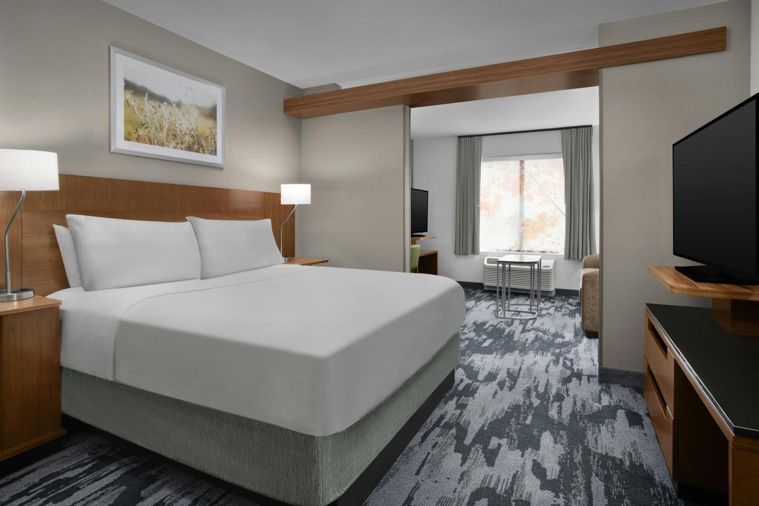 King Suite with Roll-In Shower and Sofa Bed - Mobility Access/Hearing Accessible photo 3