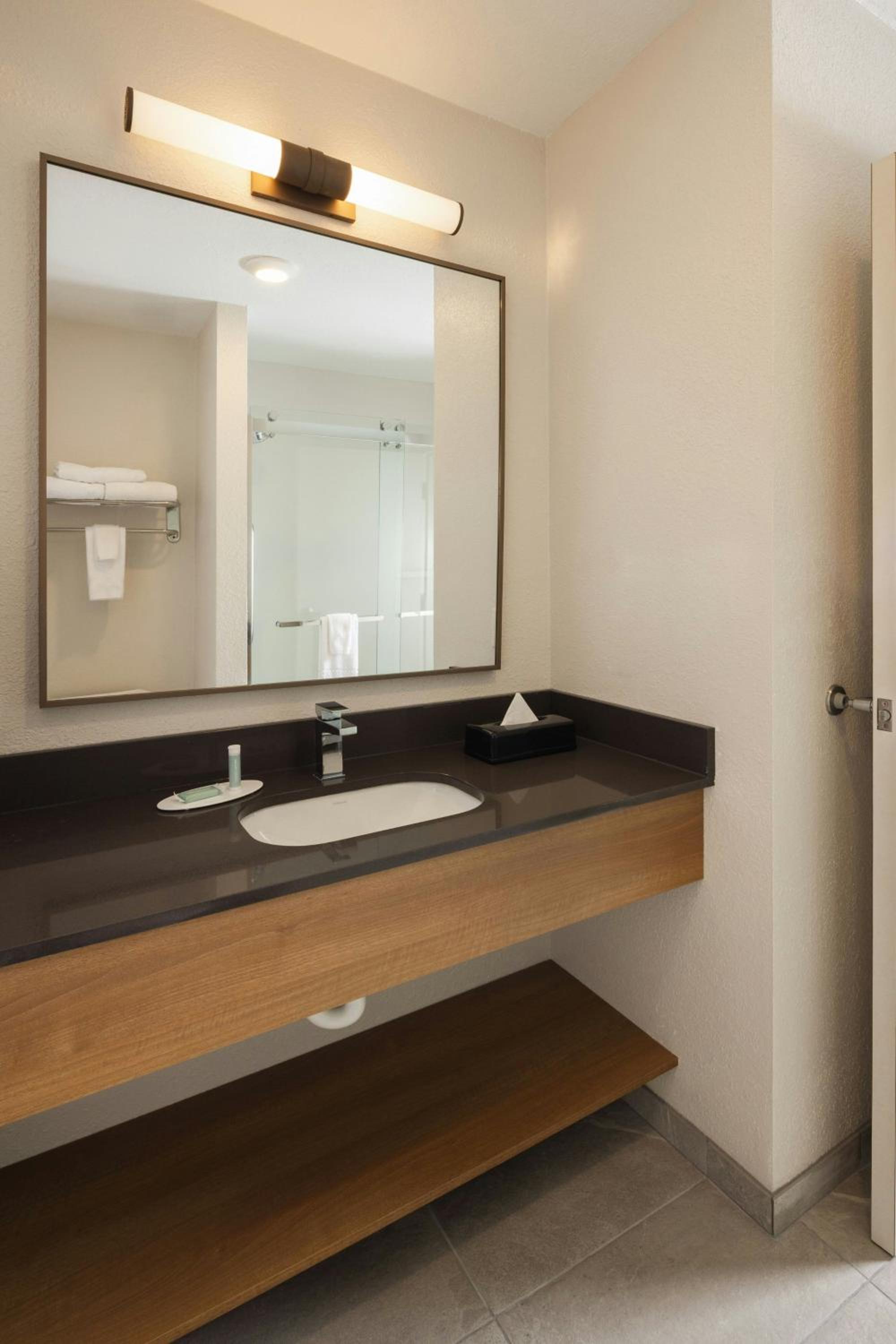 King Room with Roll-In Shower - Mobility Accessible - Photo 3