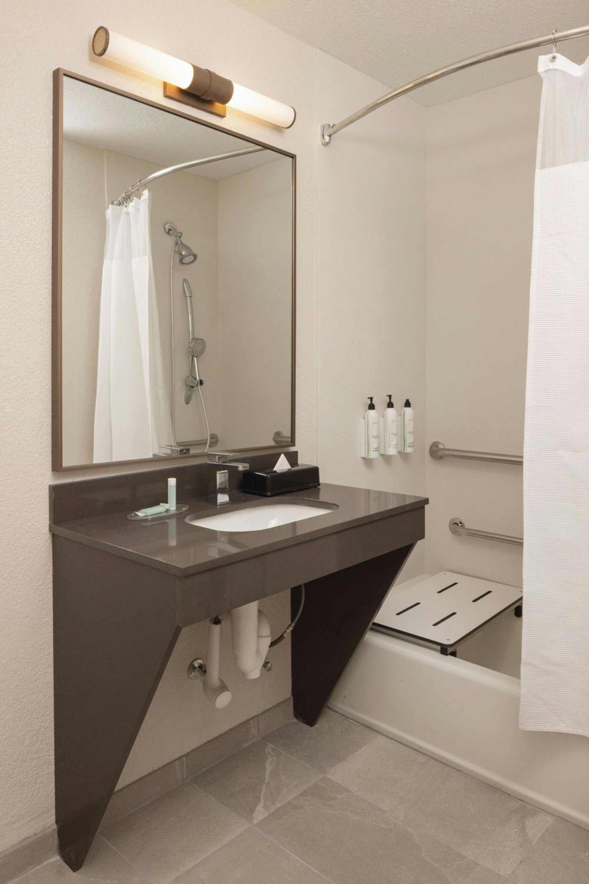 King Room with Roll-In Shower - Mobility Accessible - Photo 4