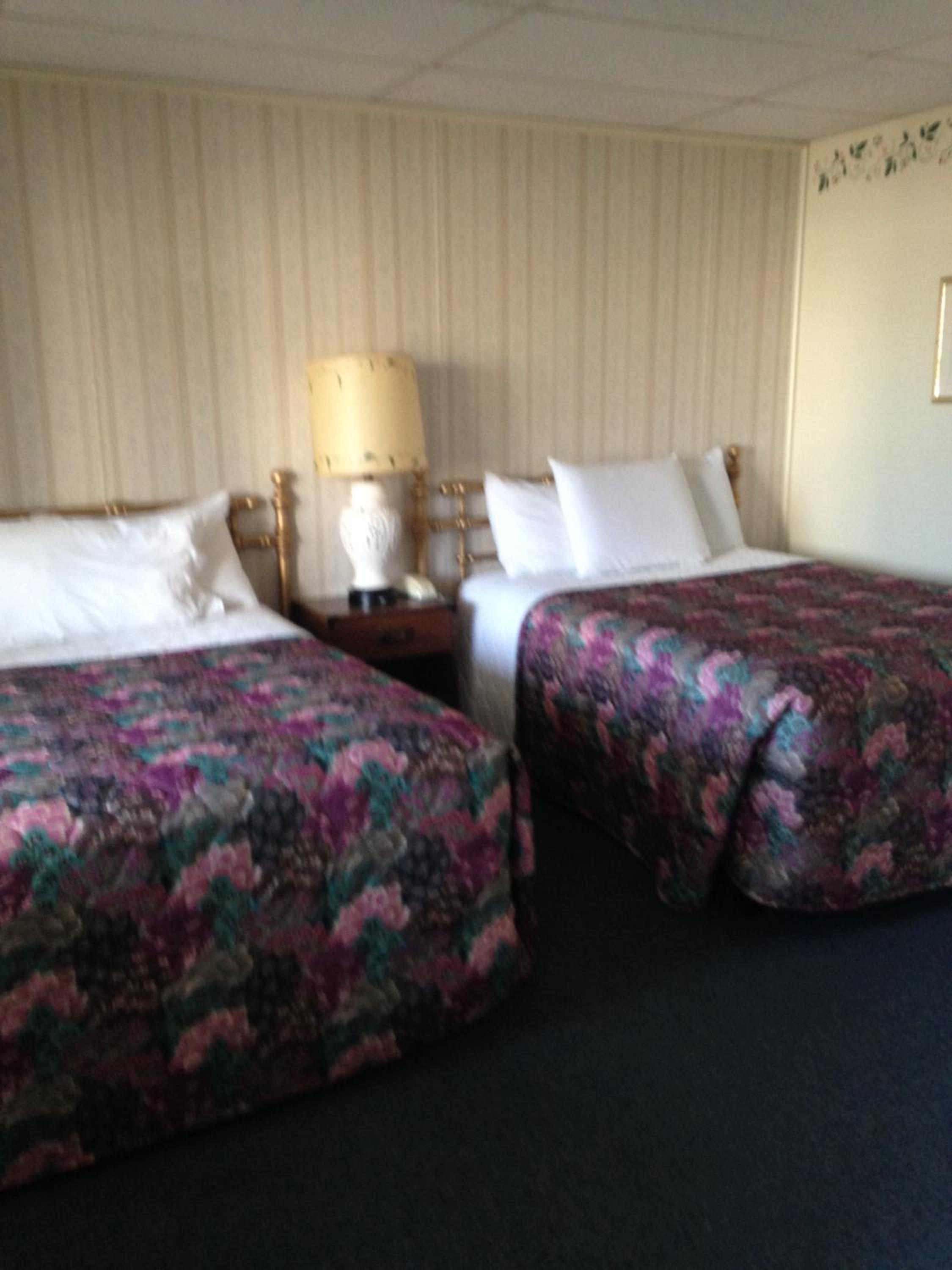 2 Full Beds Non-Smoking photo 3
