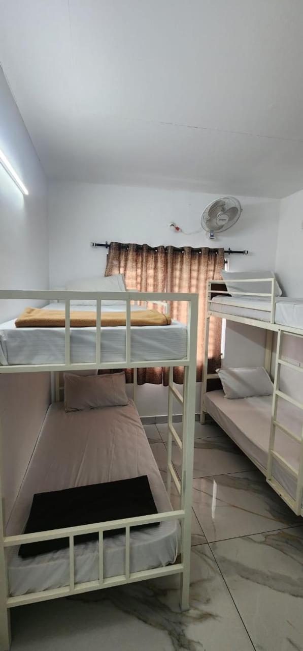 Bunk Bed in Mixed Dormitory Room
