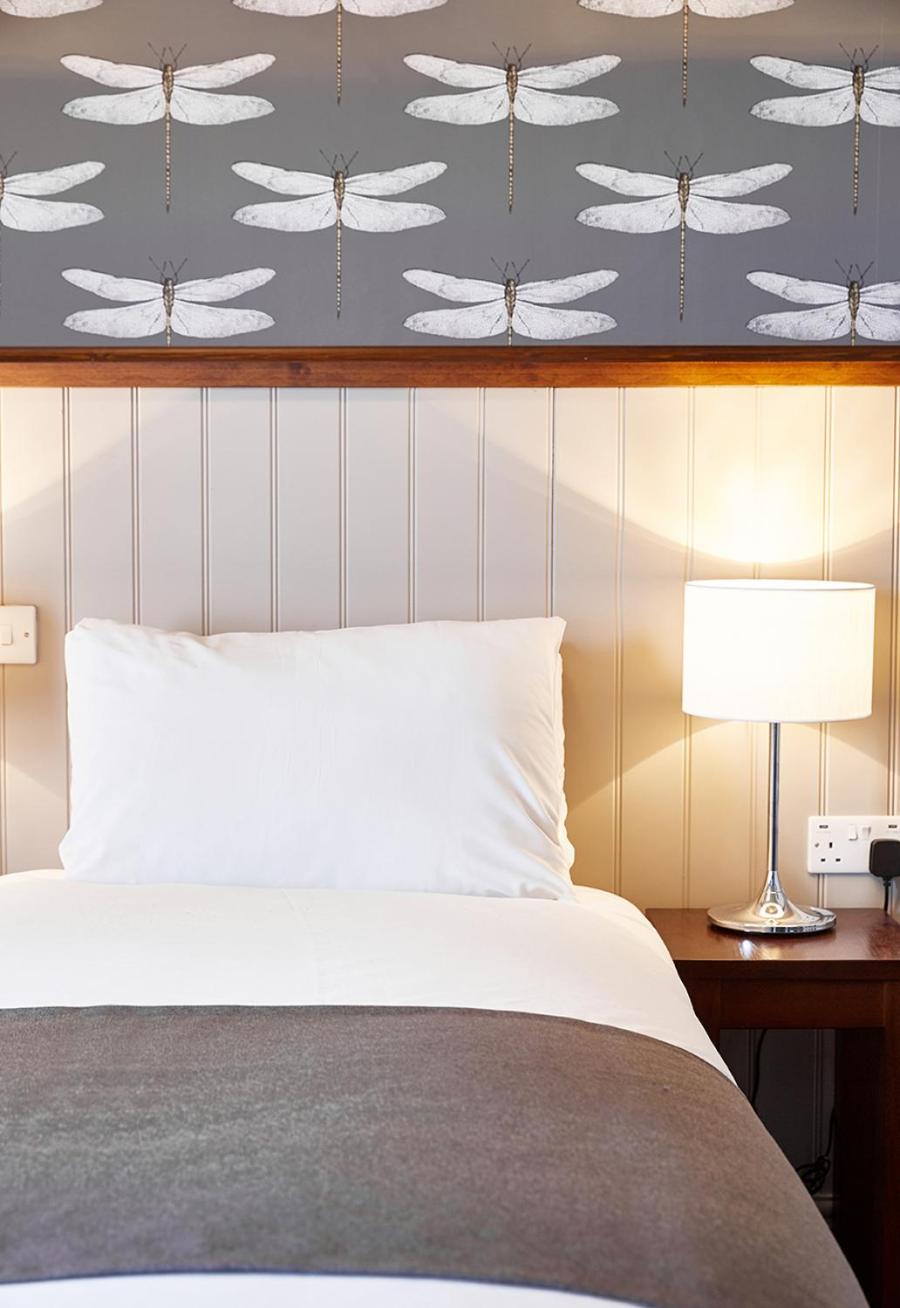 Standard Twin Room photo 3