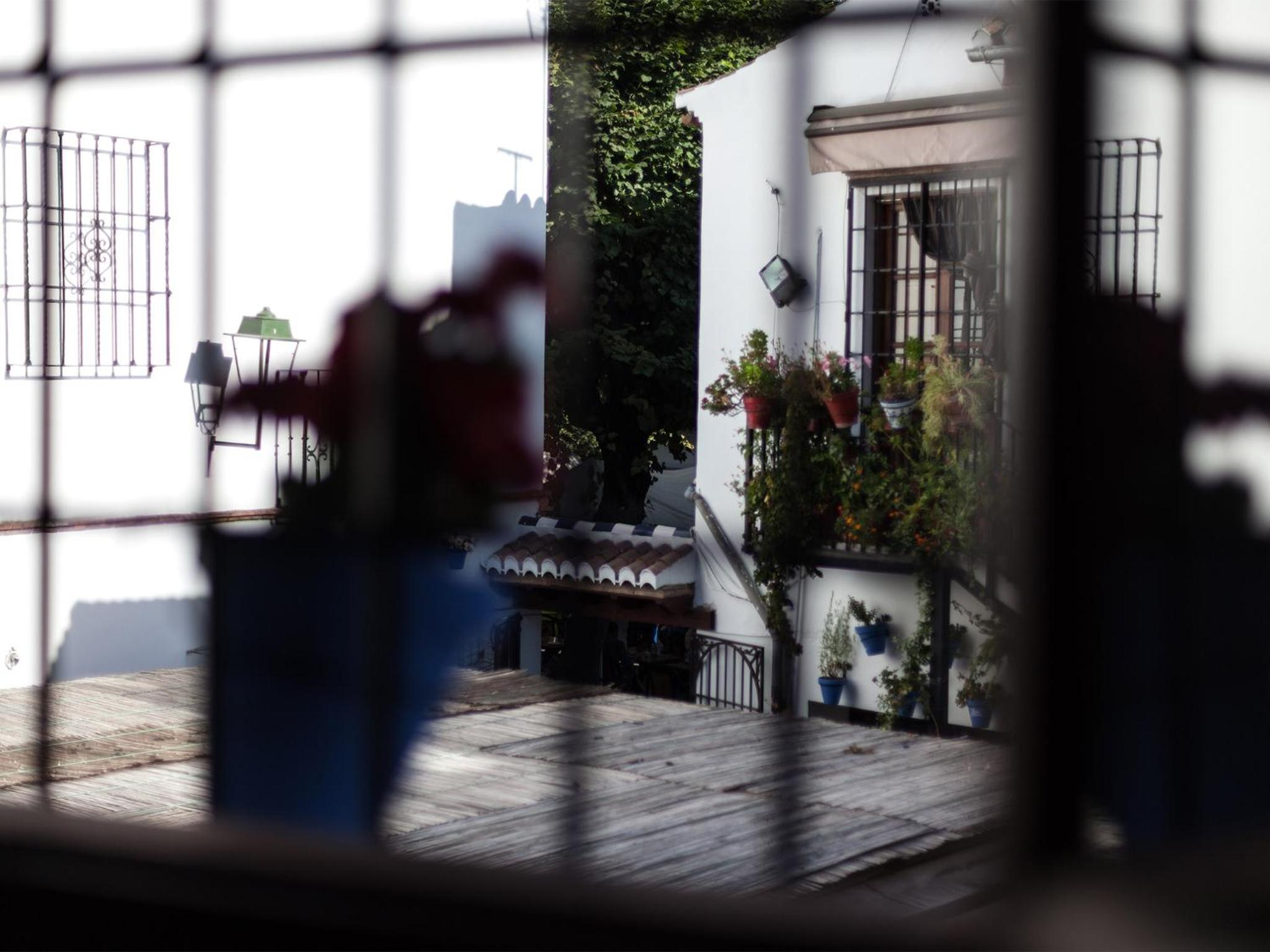 Apartment with Terrace - Photo 6