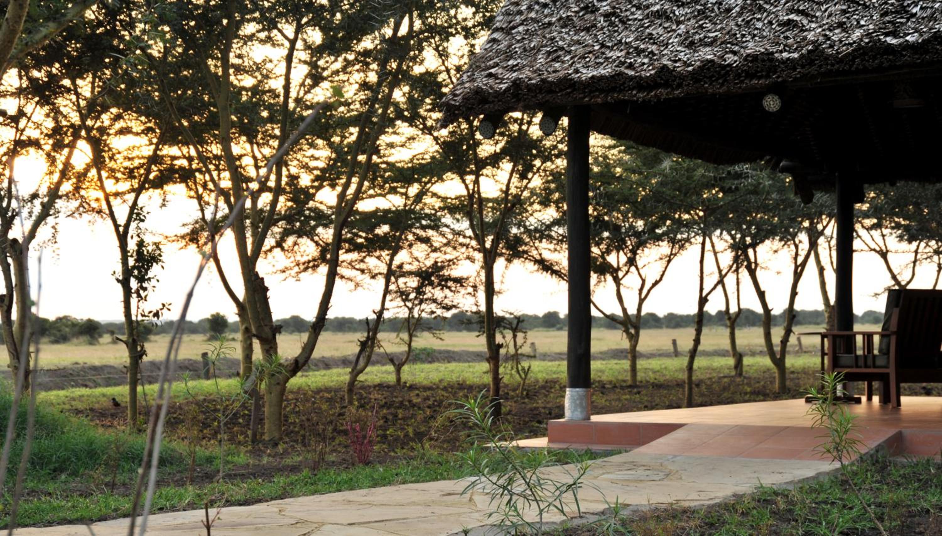 Morani Wing Tent photo 2