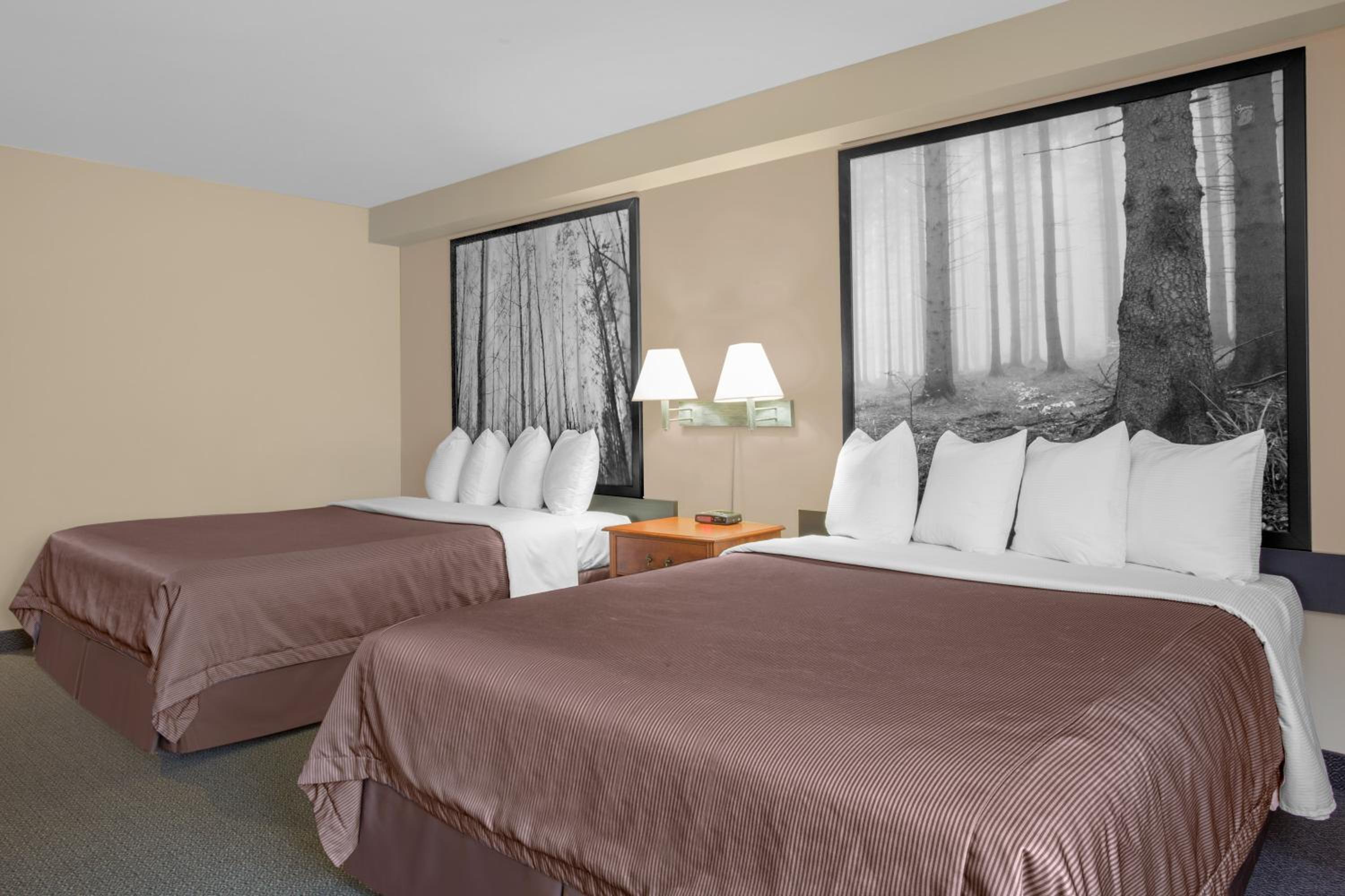 Queen Room With Two Queen Beds - Non-Smoking