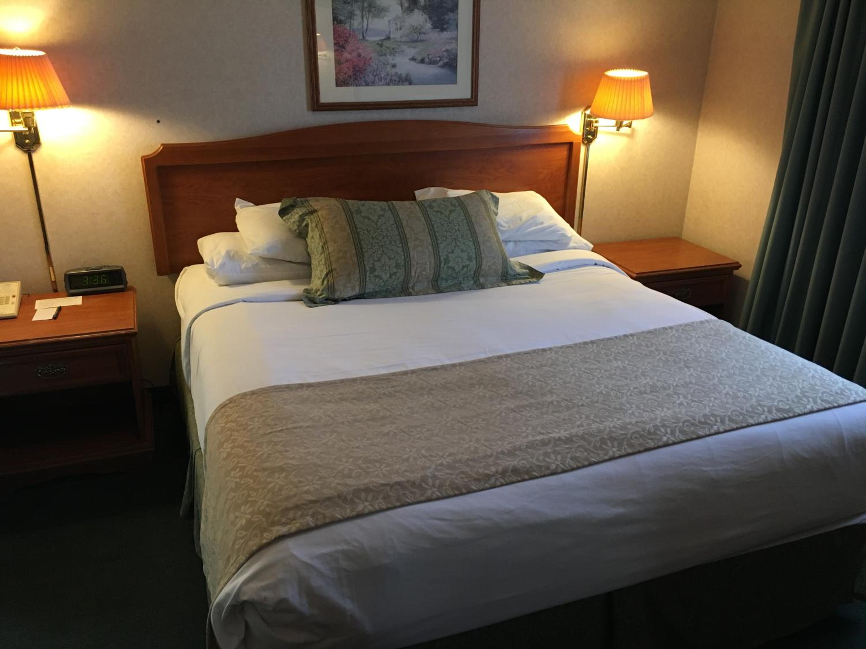 King Room photo 1