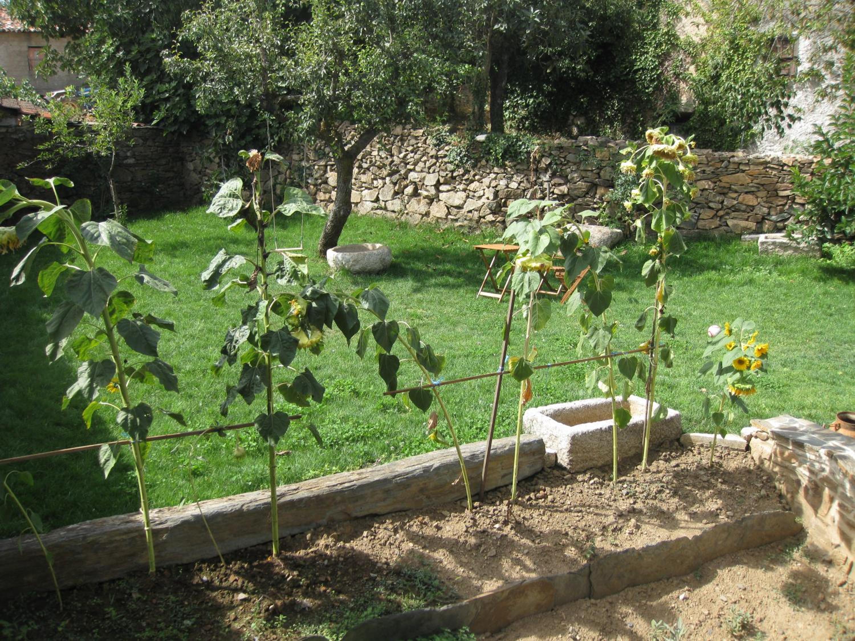 Twin Room with Garden View - Photo 3