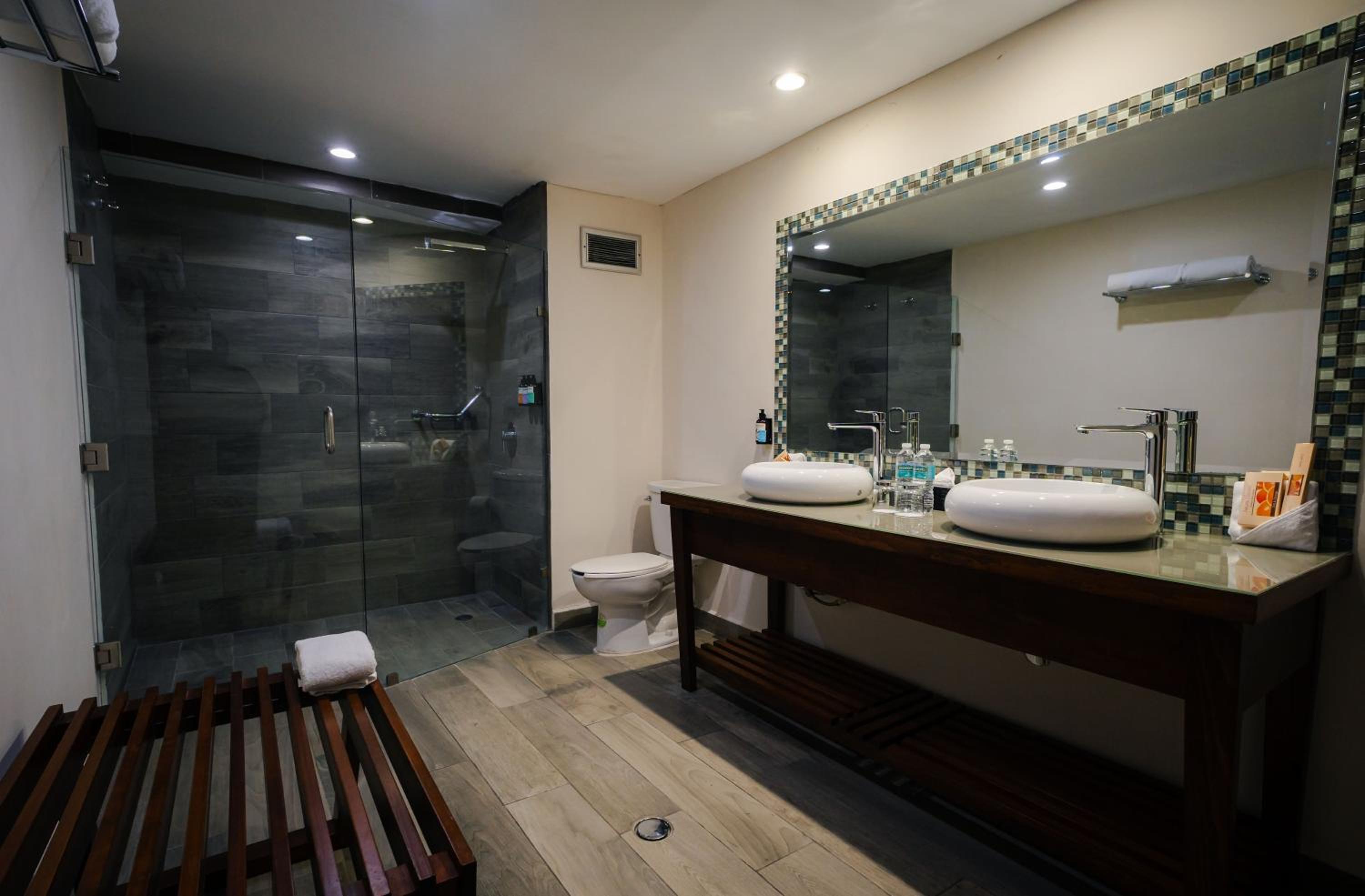 Deluxe King Suite photo 2
