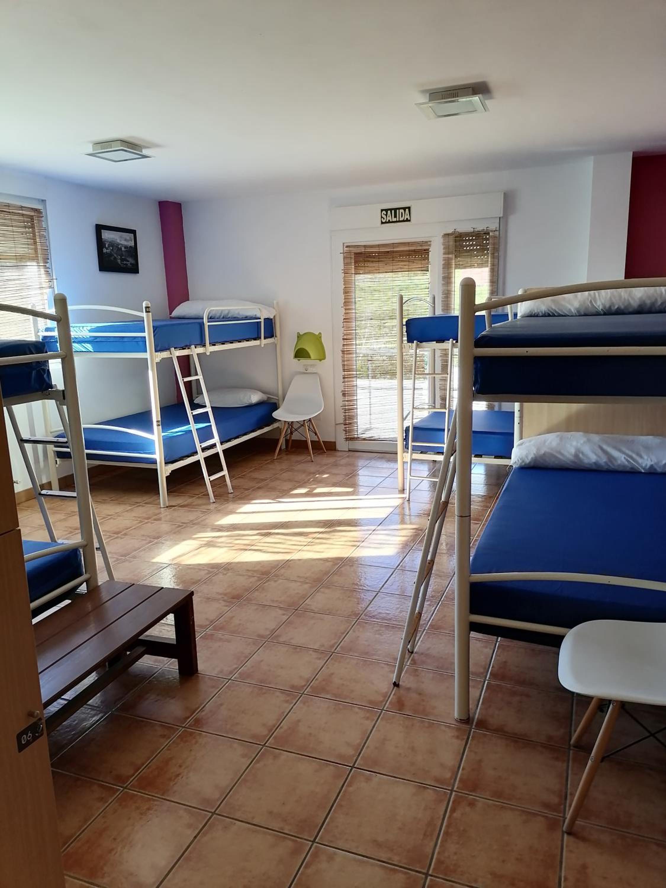 Bunk Bed in Mixed Dormitory Room