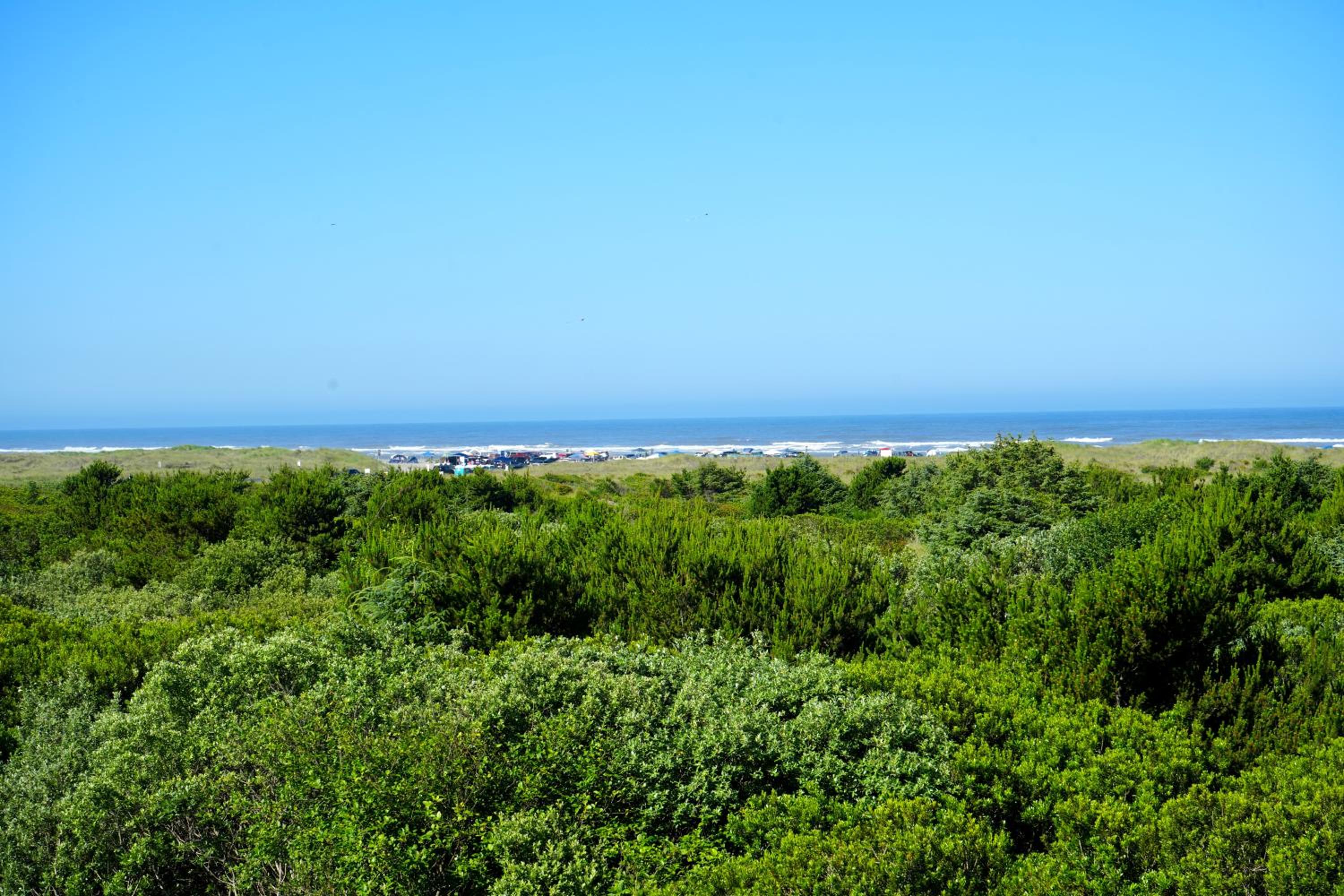 Superior Single Room with Sea View