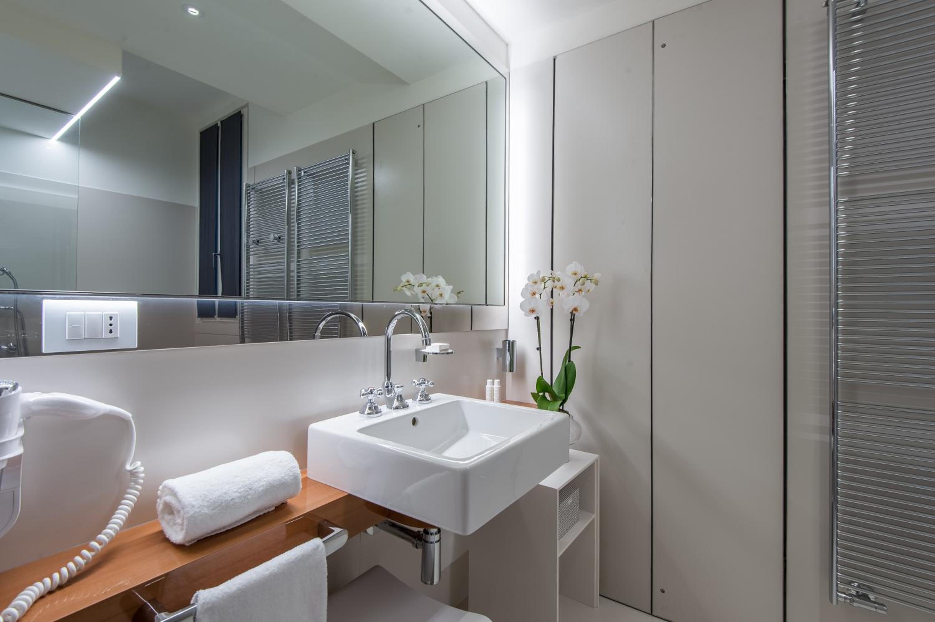 Deluxe One-Bedroom Apartment with View - no smoking