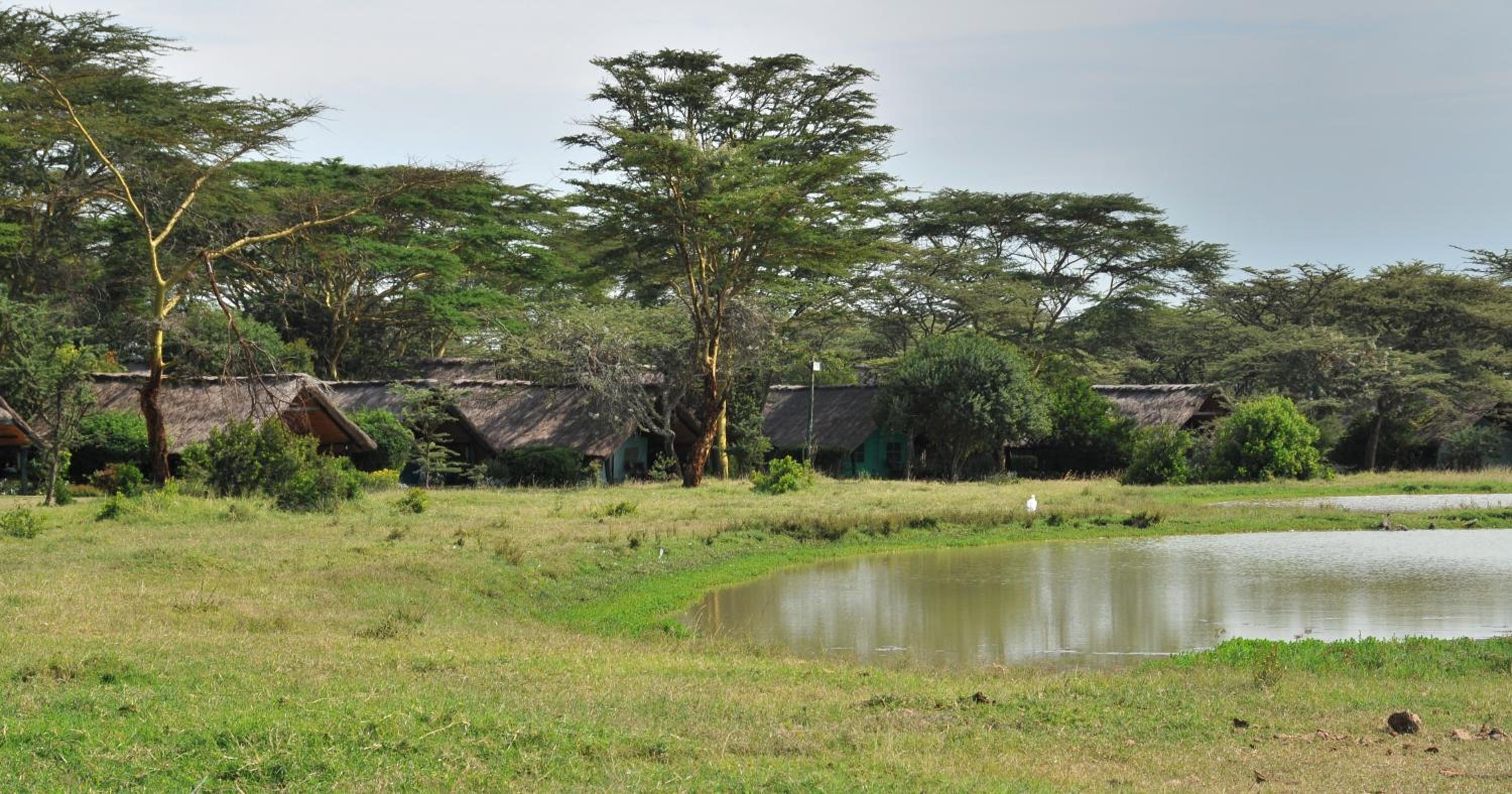 Standard Tent Waterhole View - Photo 2