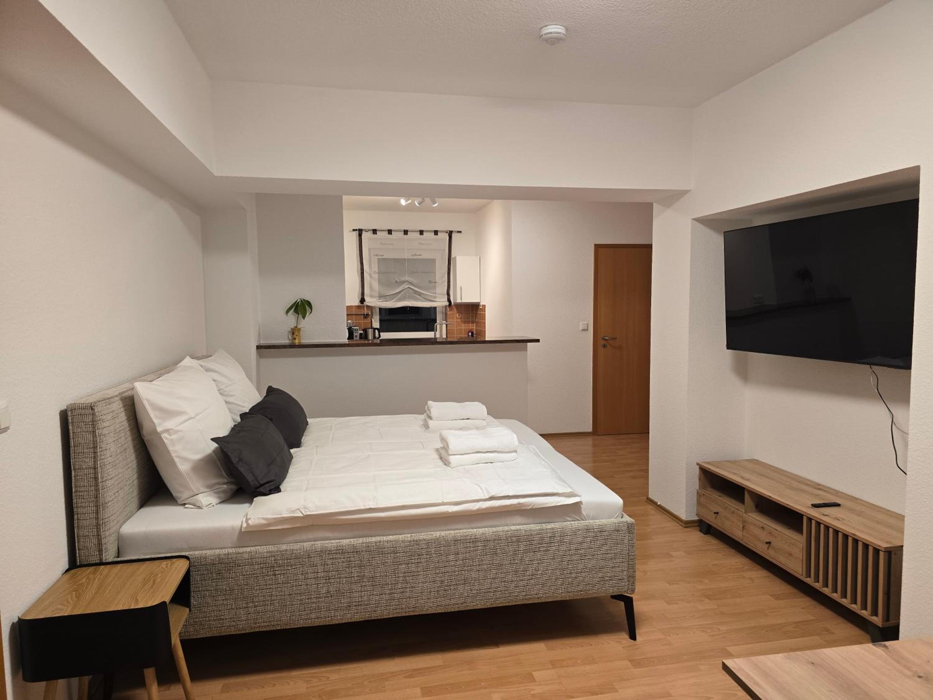 One-Bedroom Apartment photo 3