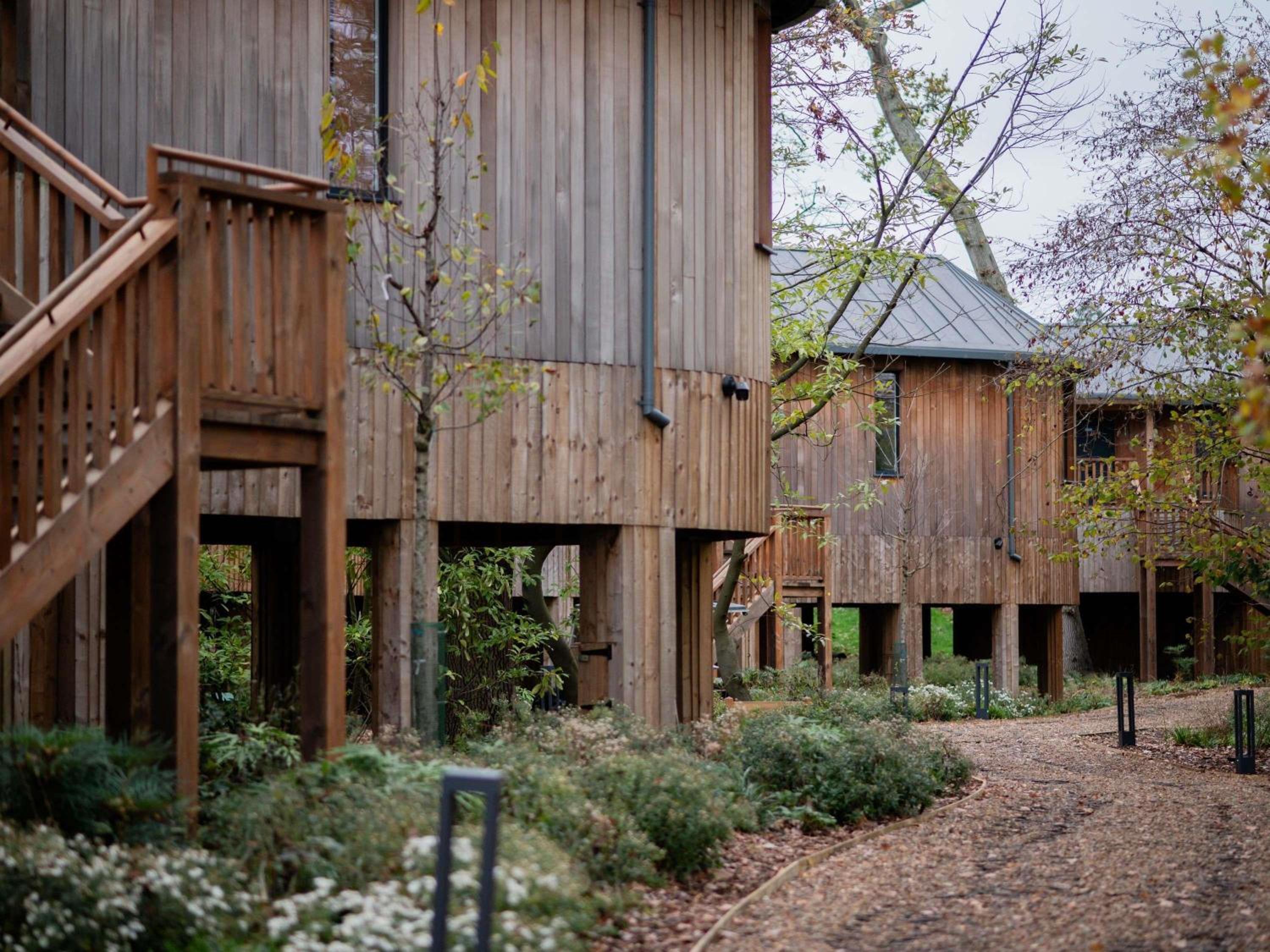 Two-Bedroom Luxury Treehouse Suite - Photo 5