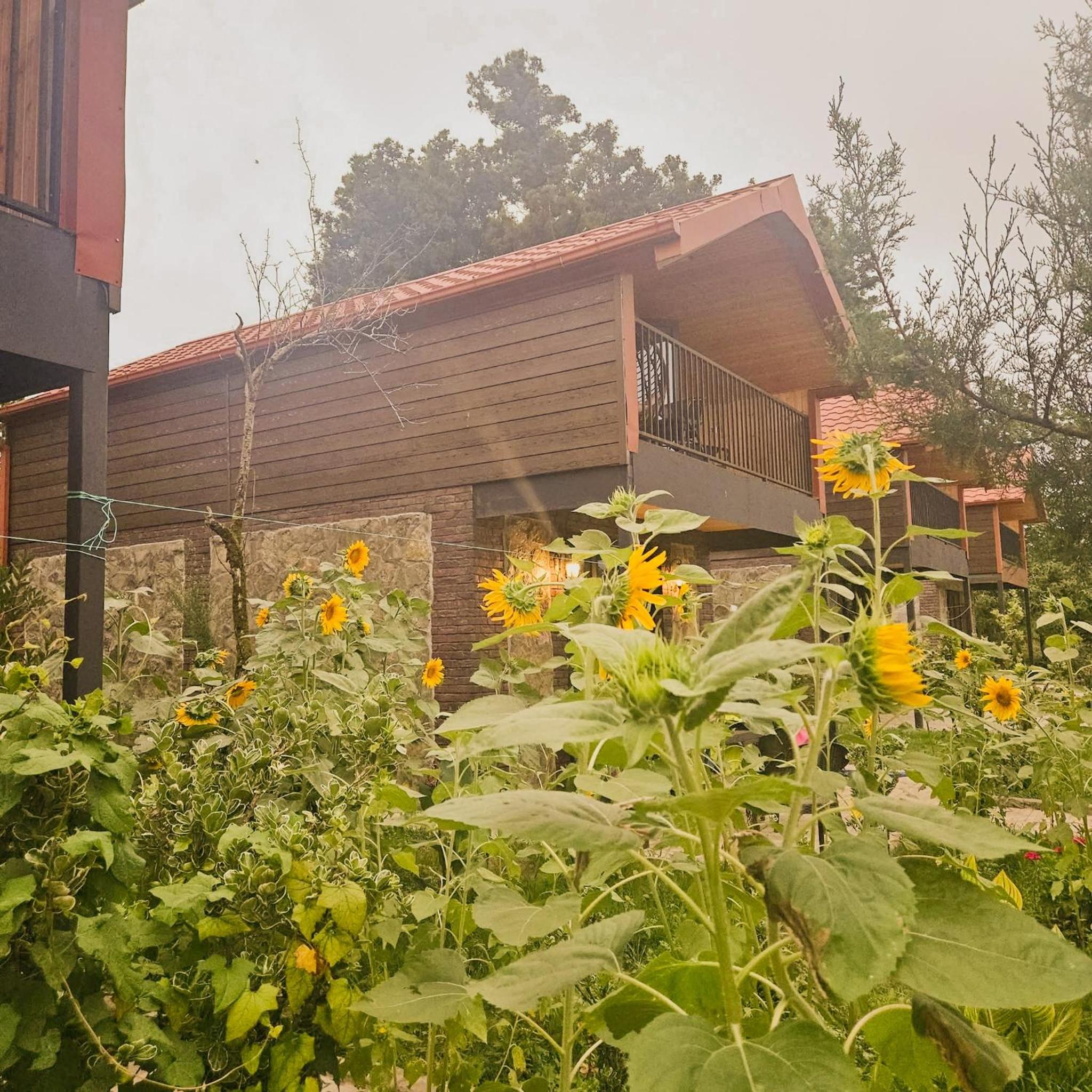 Two-Bedroom House photo 3