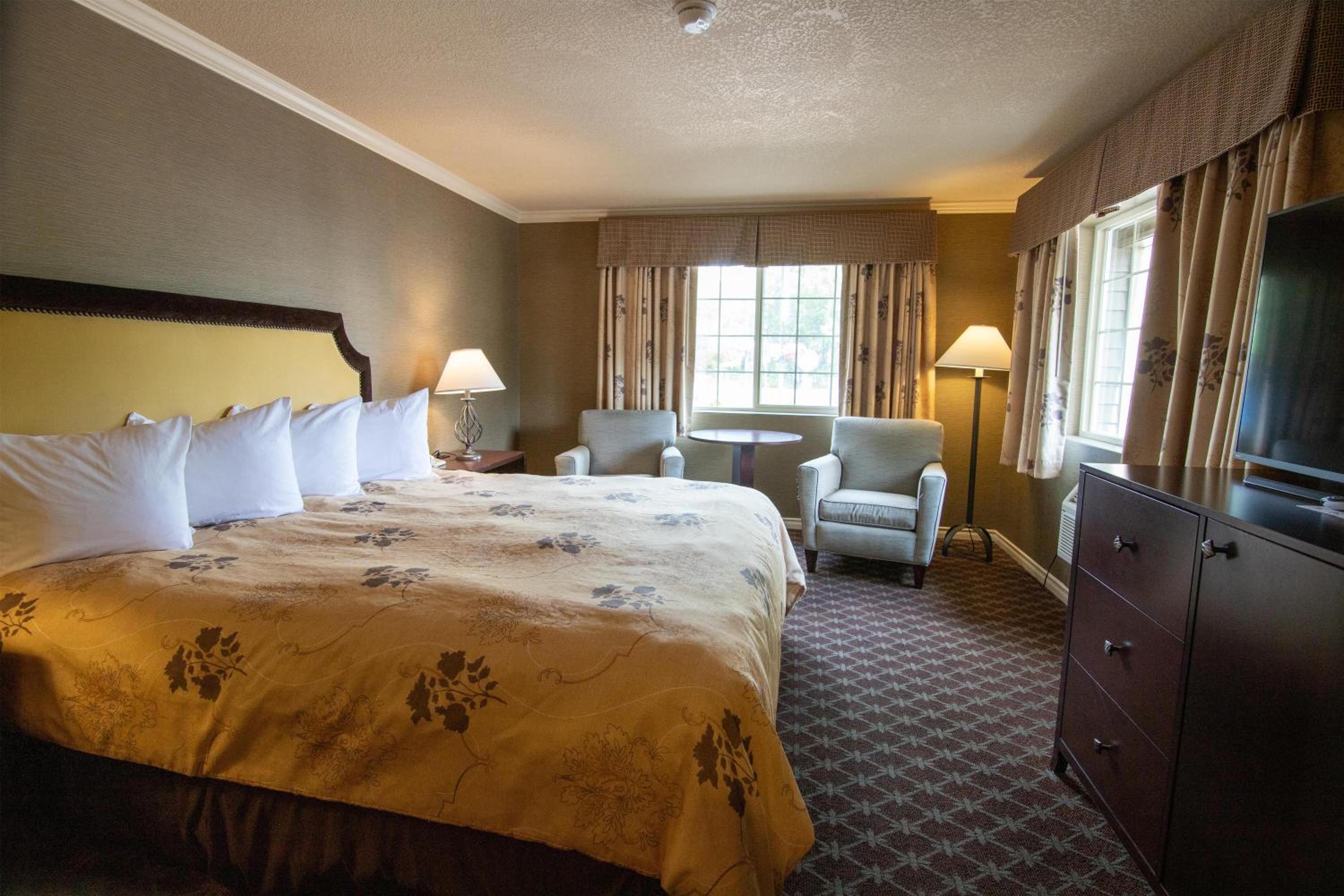 Deluxe King Room - Pet-Friendly