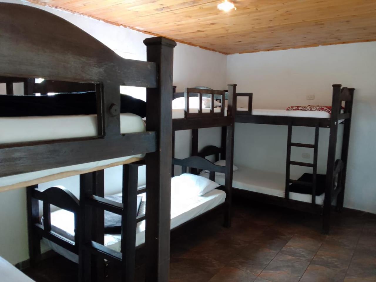 6-Bed Female Dormitory Room photo 1