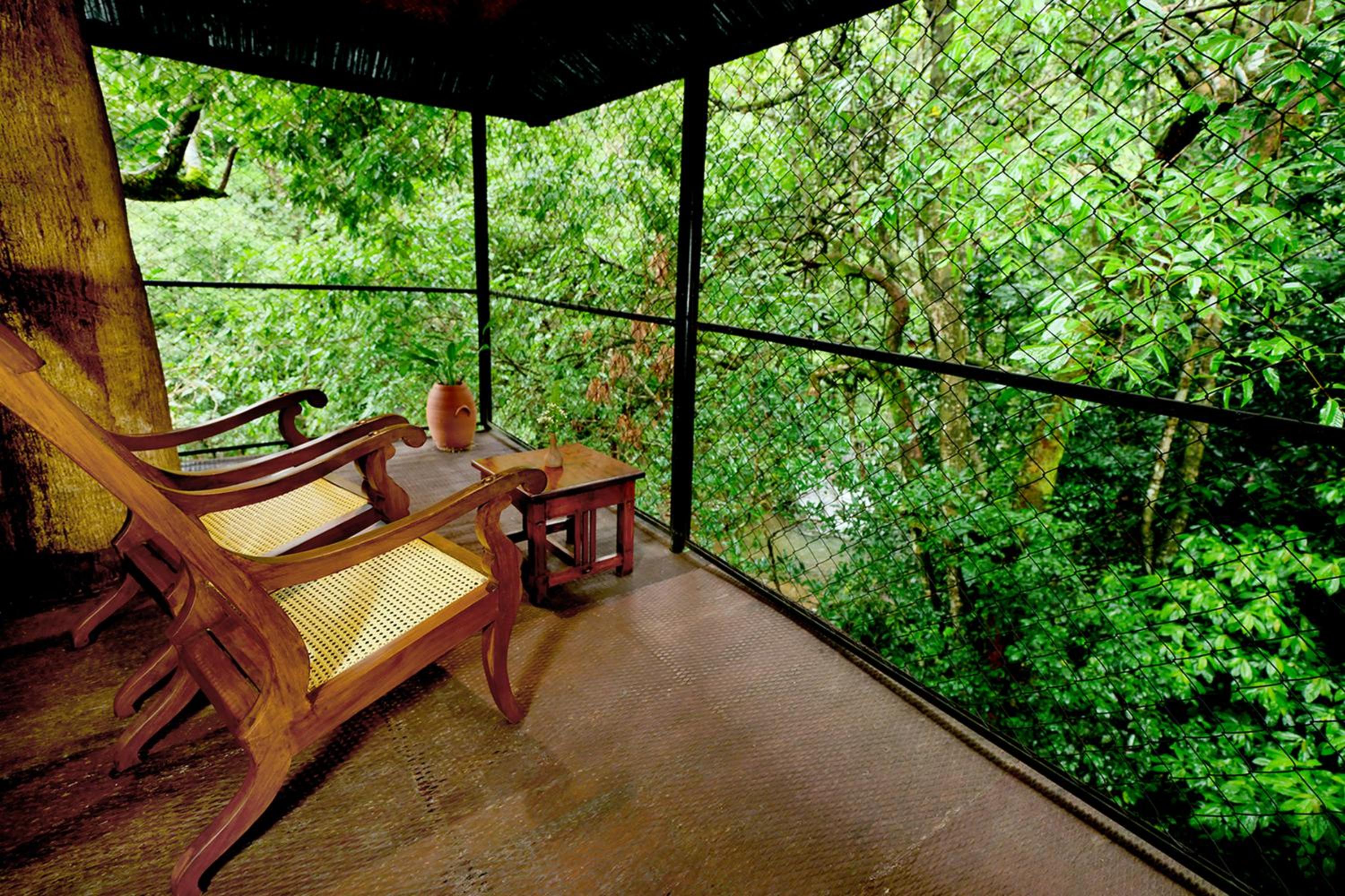 Family Tree House photo 2