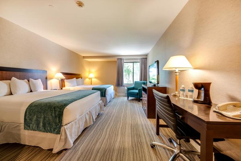 Double Room - Disability Access photo 1