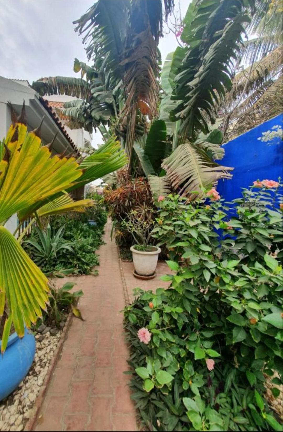 Villa photo 2