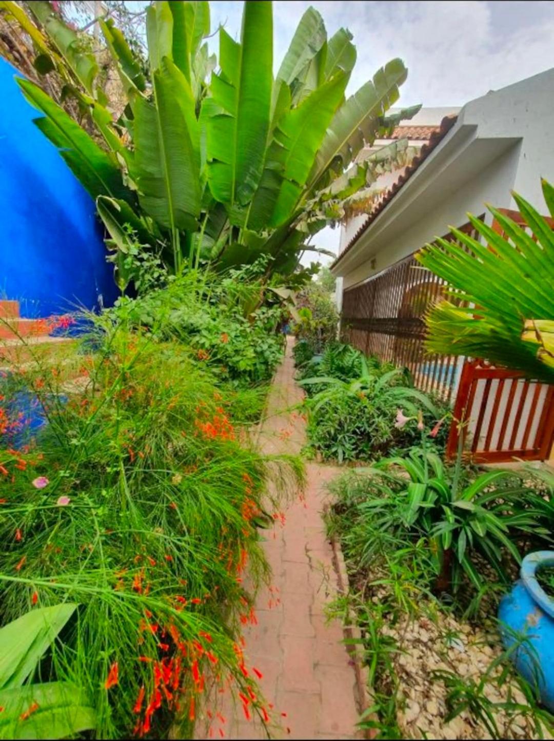 Villa photo 3