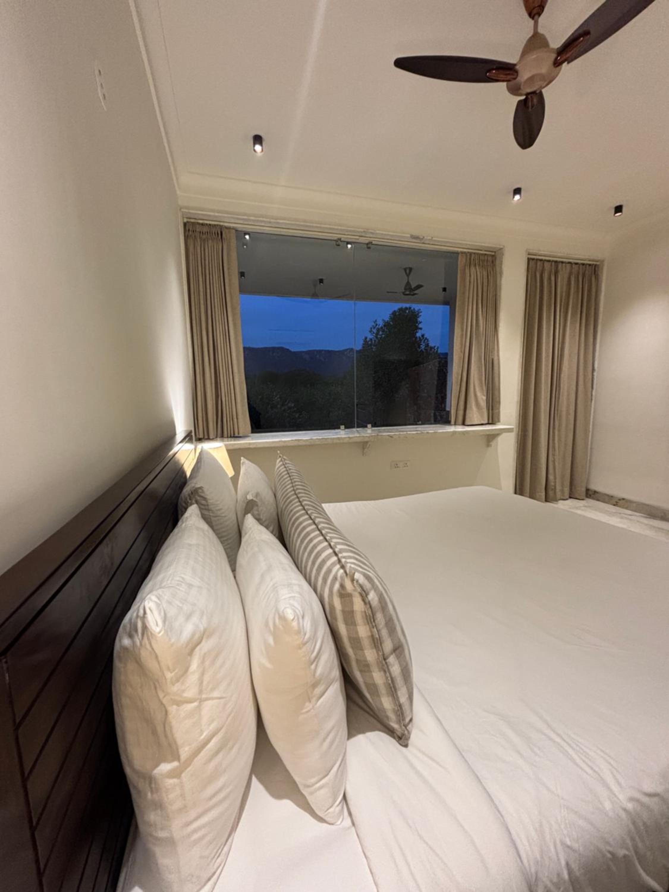 Suite - Photo 6