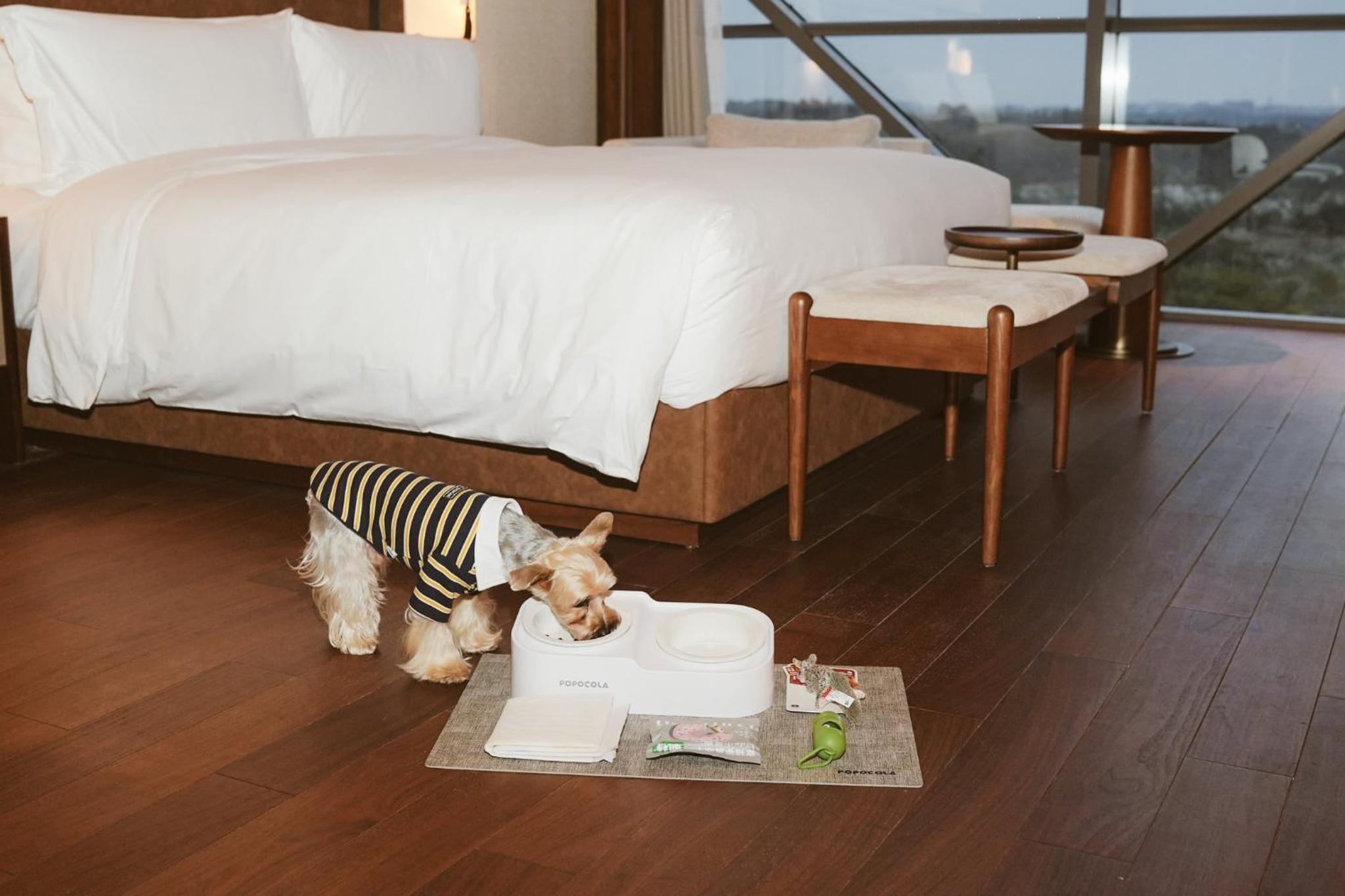 Standard King Room - Pet Friendly