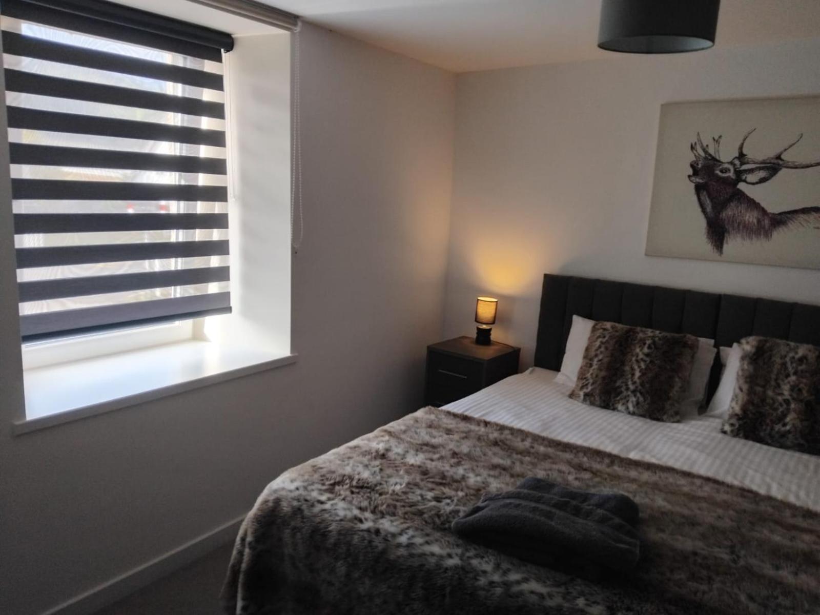 Superior King Room photo 3