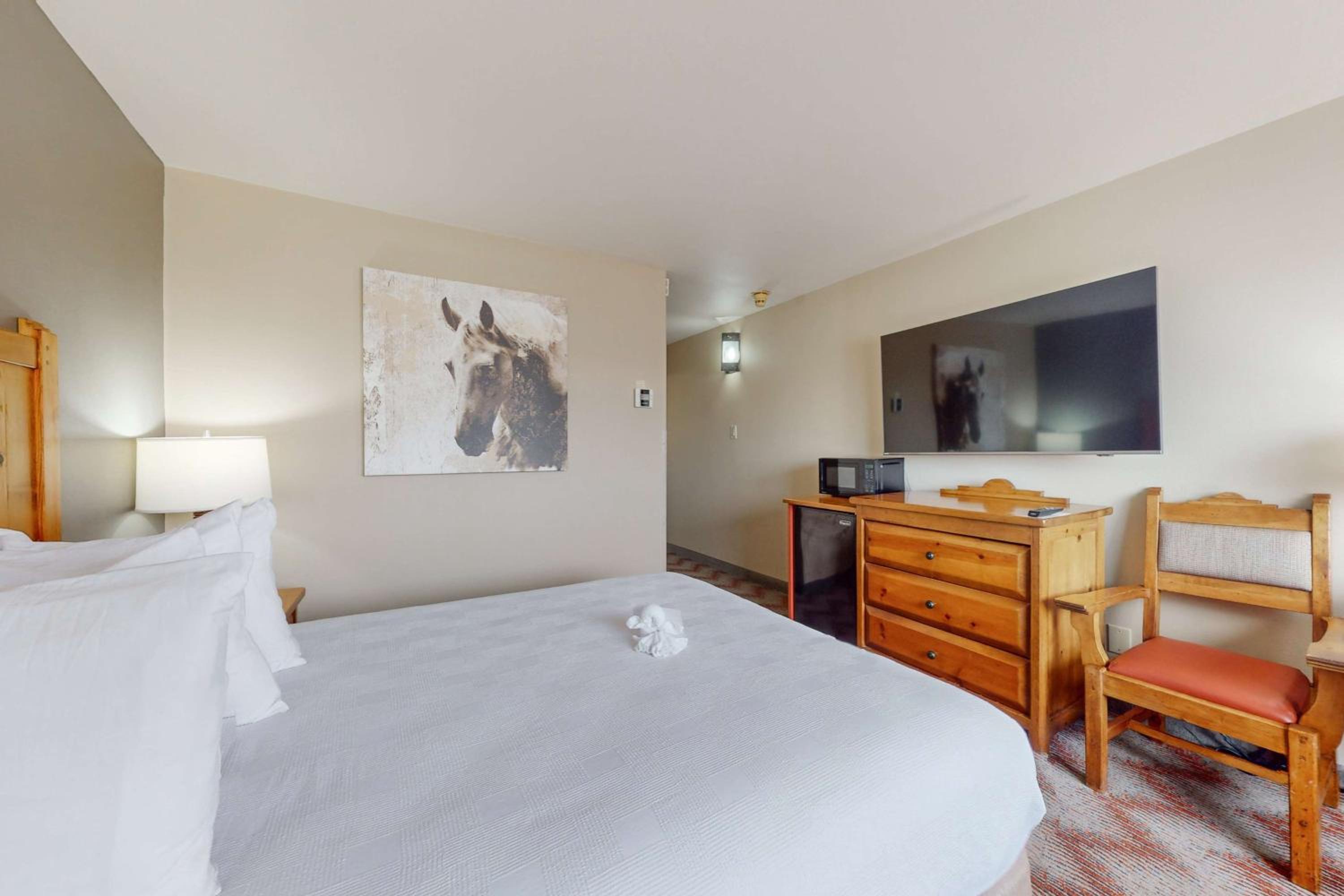 King Room with Shower Only - Pet Friendly/Non-Smoking - Photo 2