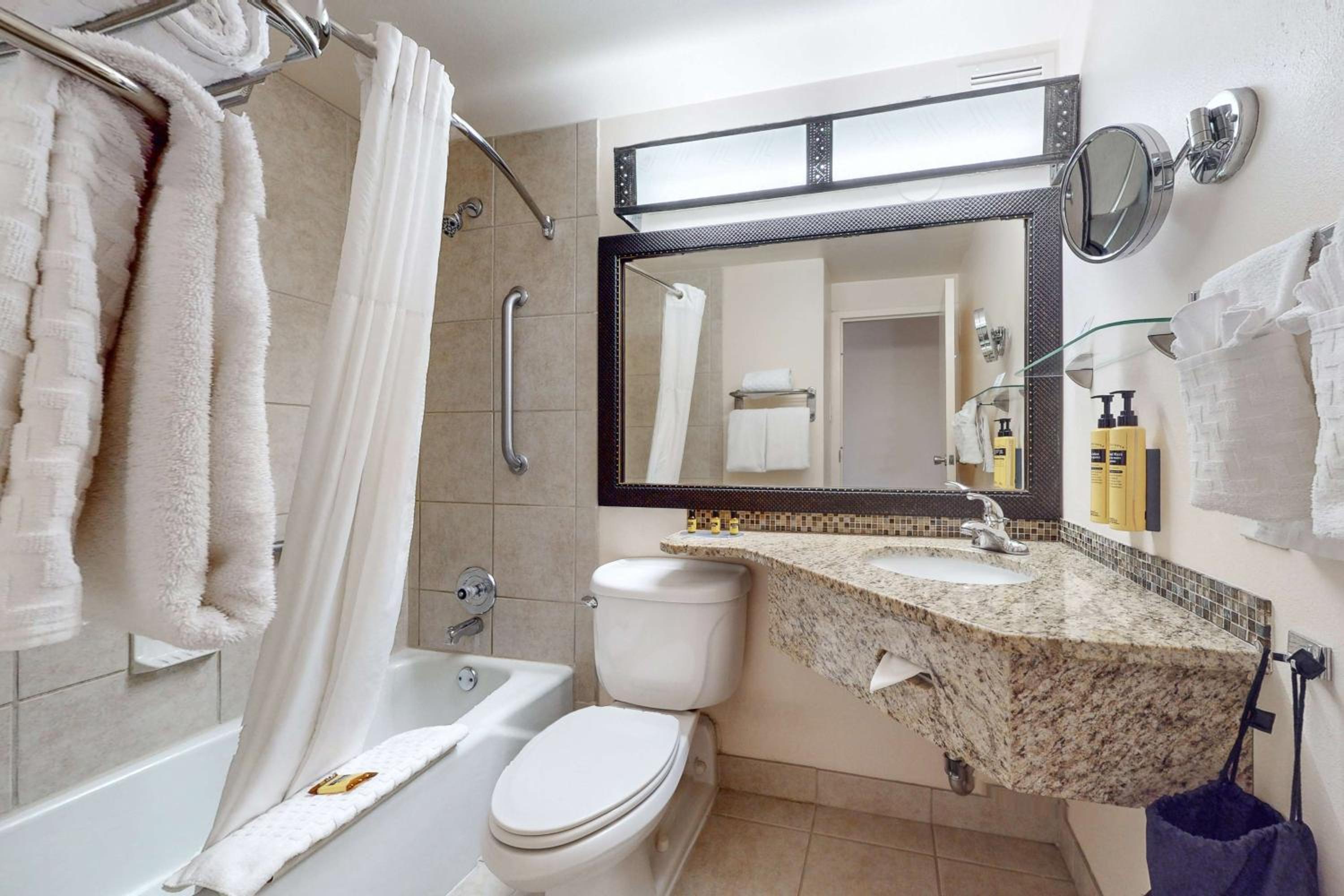 King Room with Shower Only - Pet Friendly/Non-Smoking - Photo 5