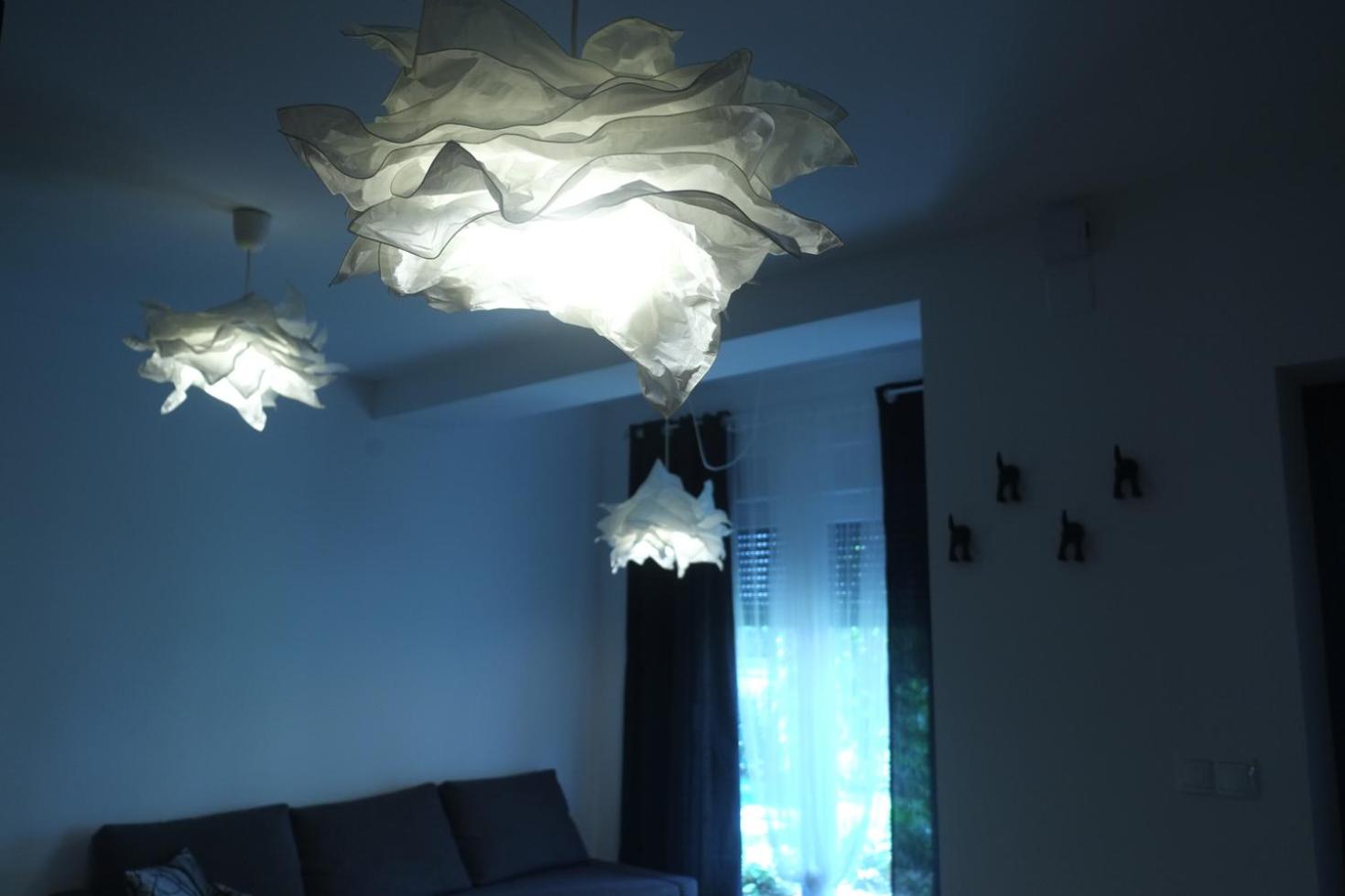 Apartment - Ground Floor - Photo 7