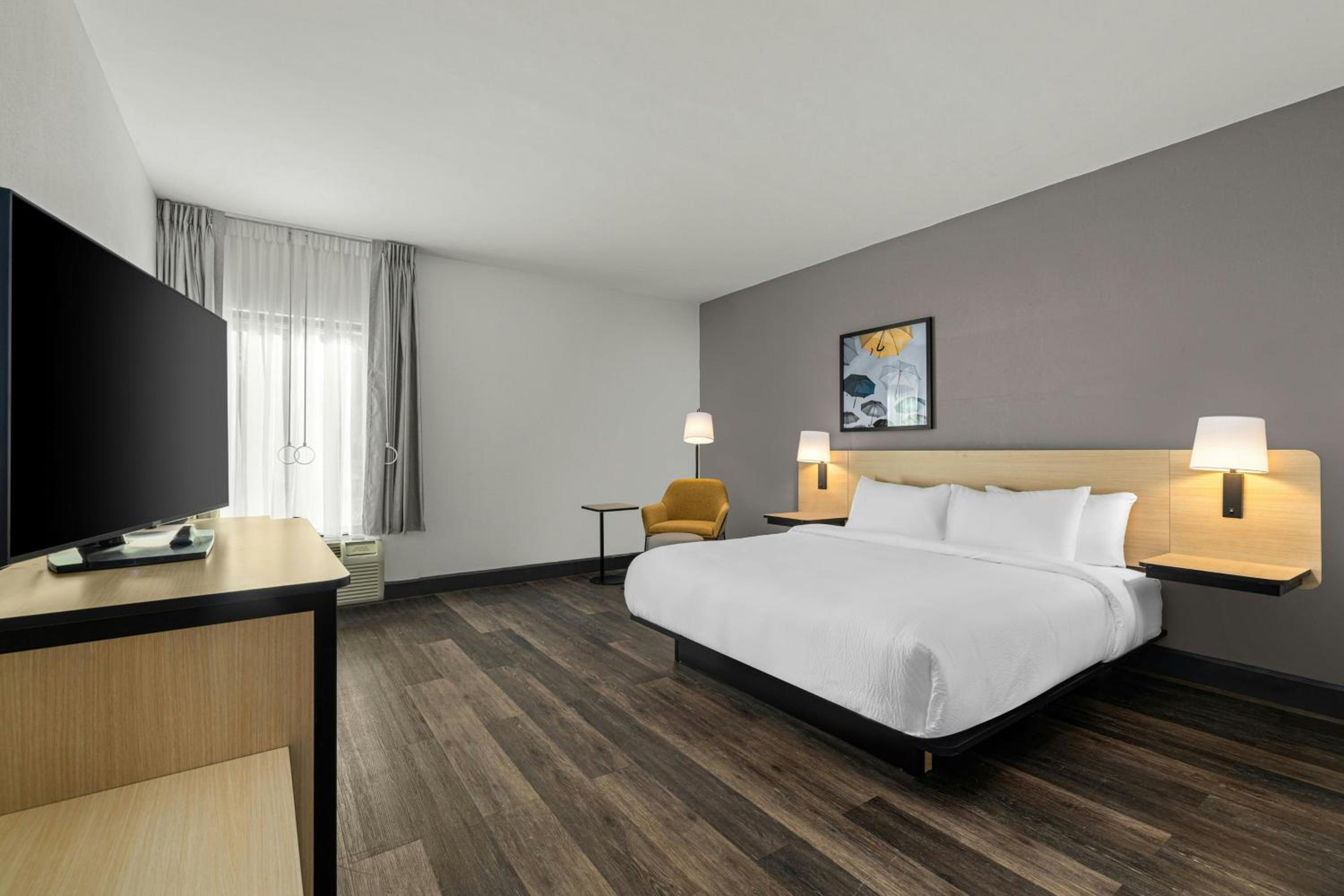 King Room photo 2