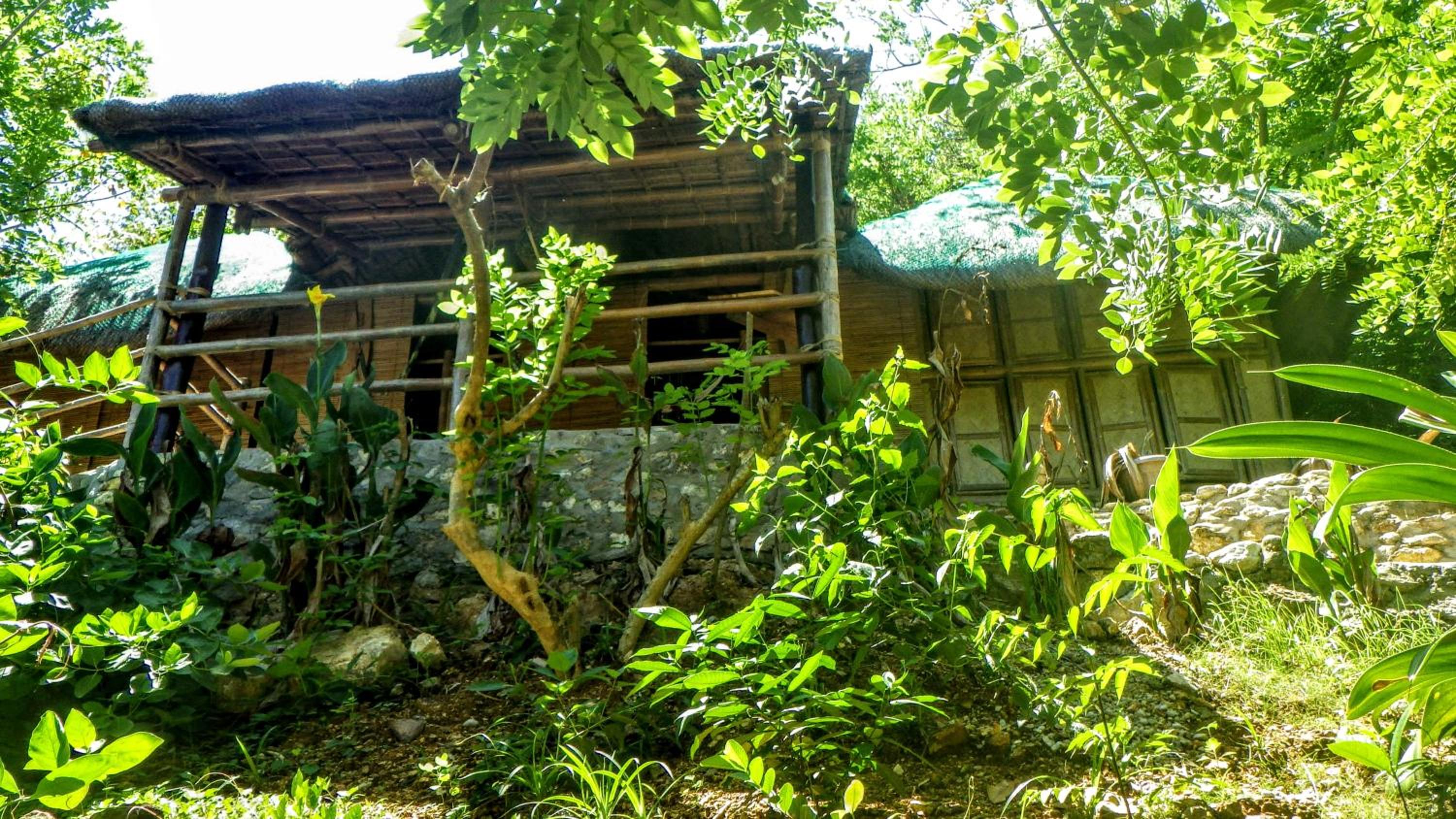 Hillside Pavilion  - Photo 2