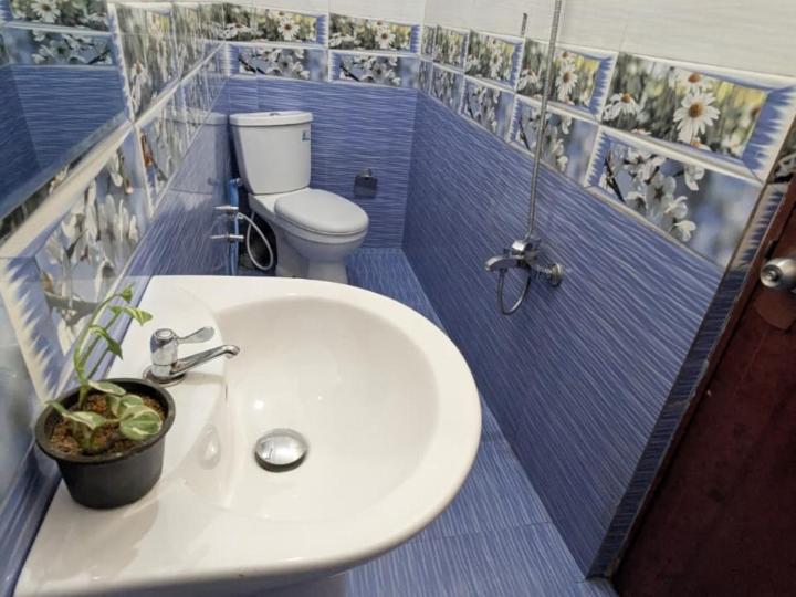 Double Room with Private Bathroom photo 1