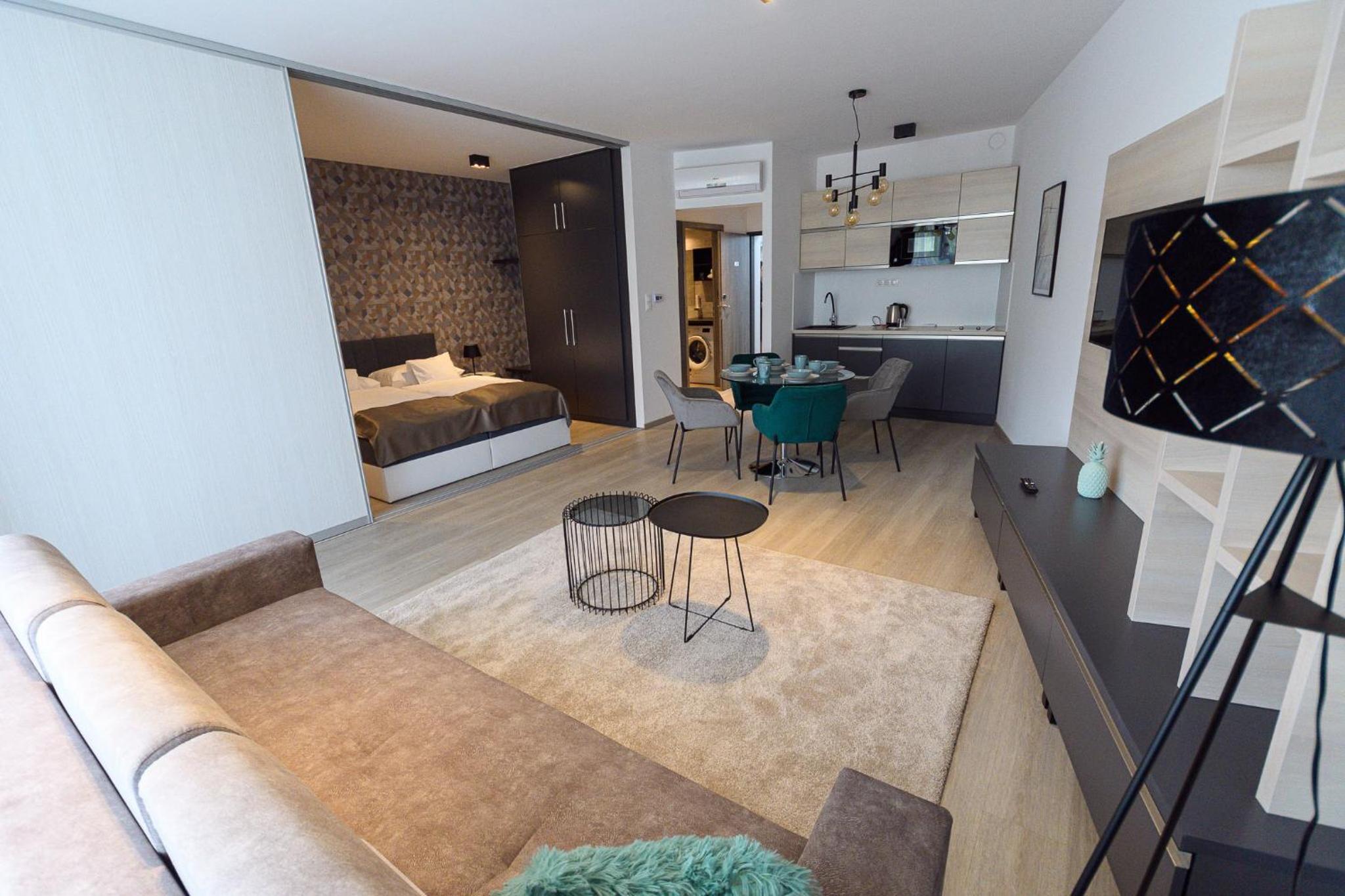 One-Bedroom Apartment with Terrace photo 1