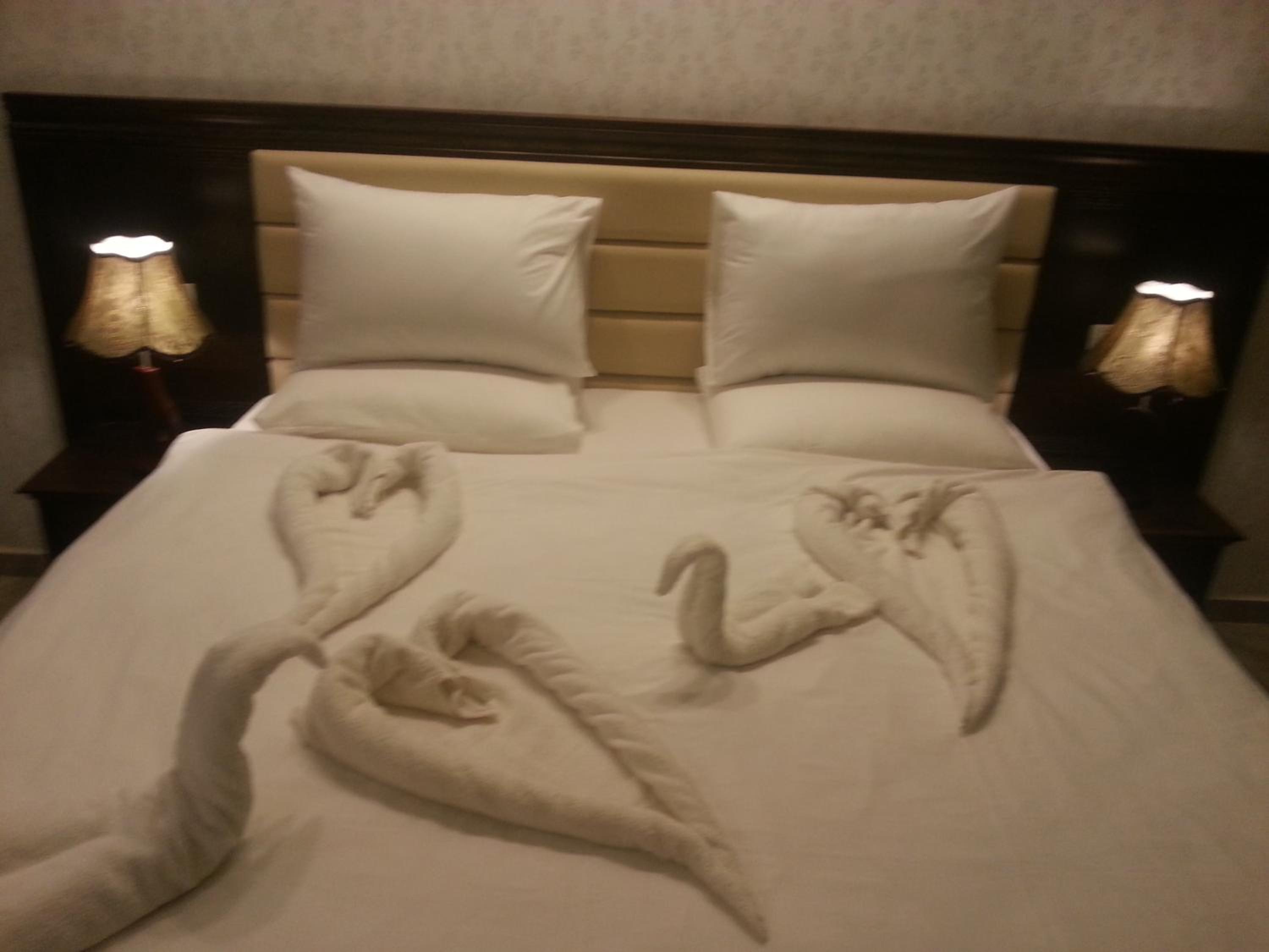 Double or Twin Room with View photo 2